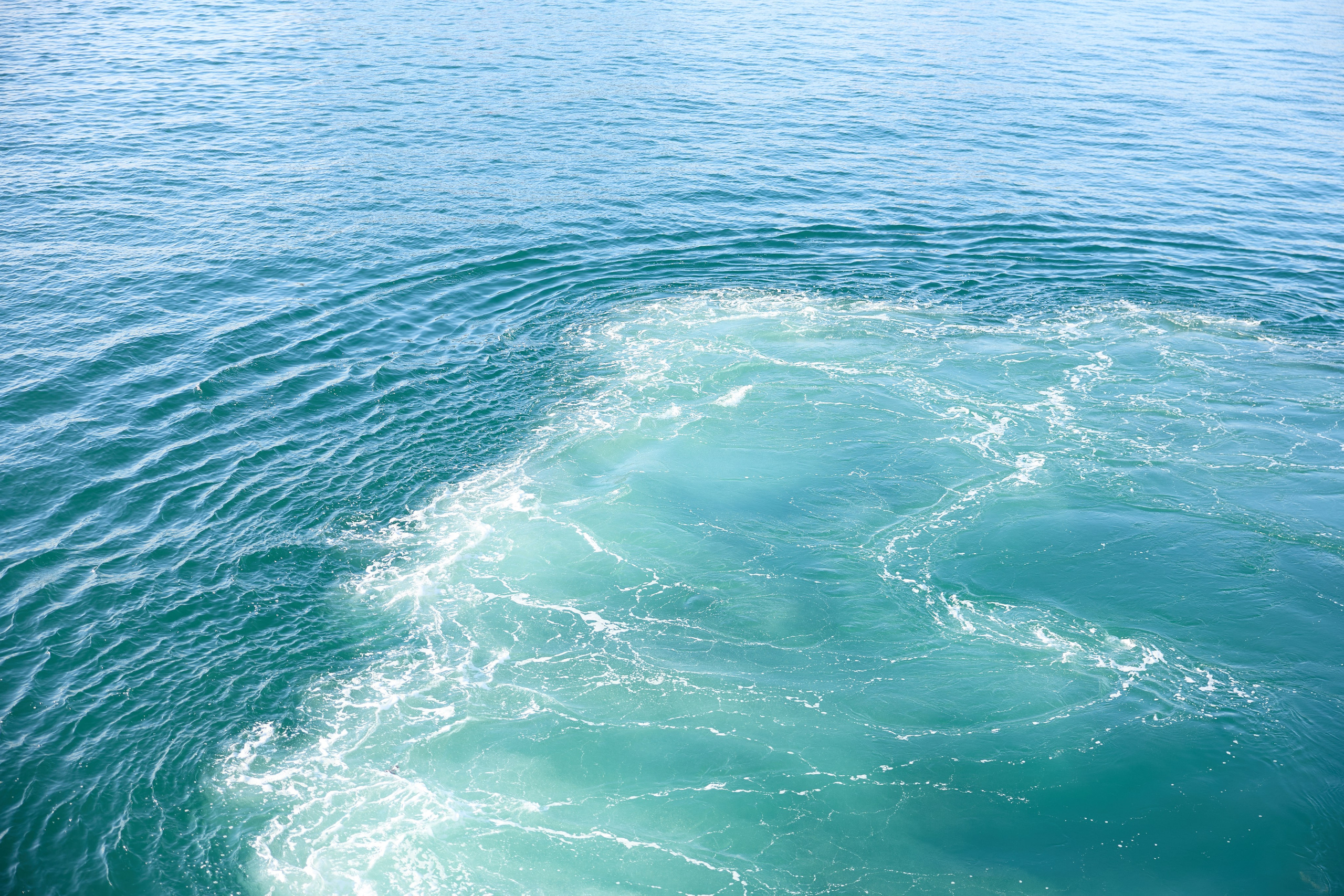 Стамбул 24. Фотограф Москва, Дима Пеллер