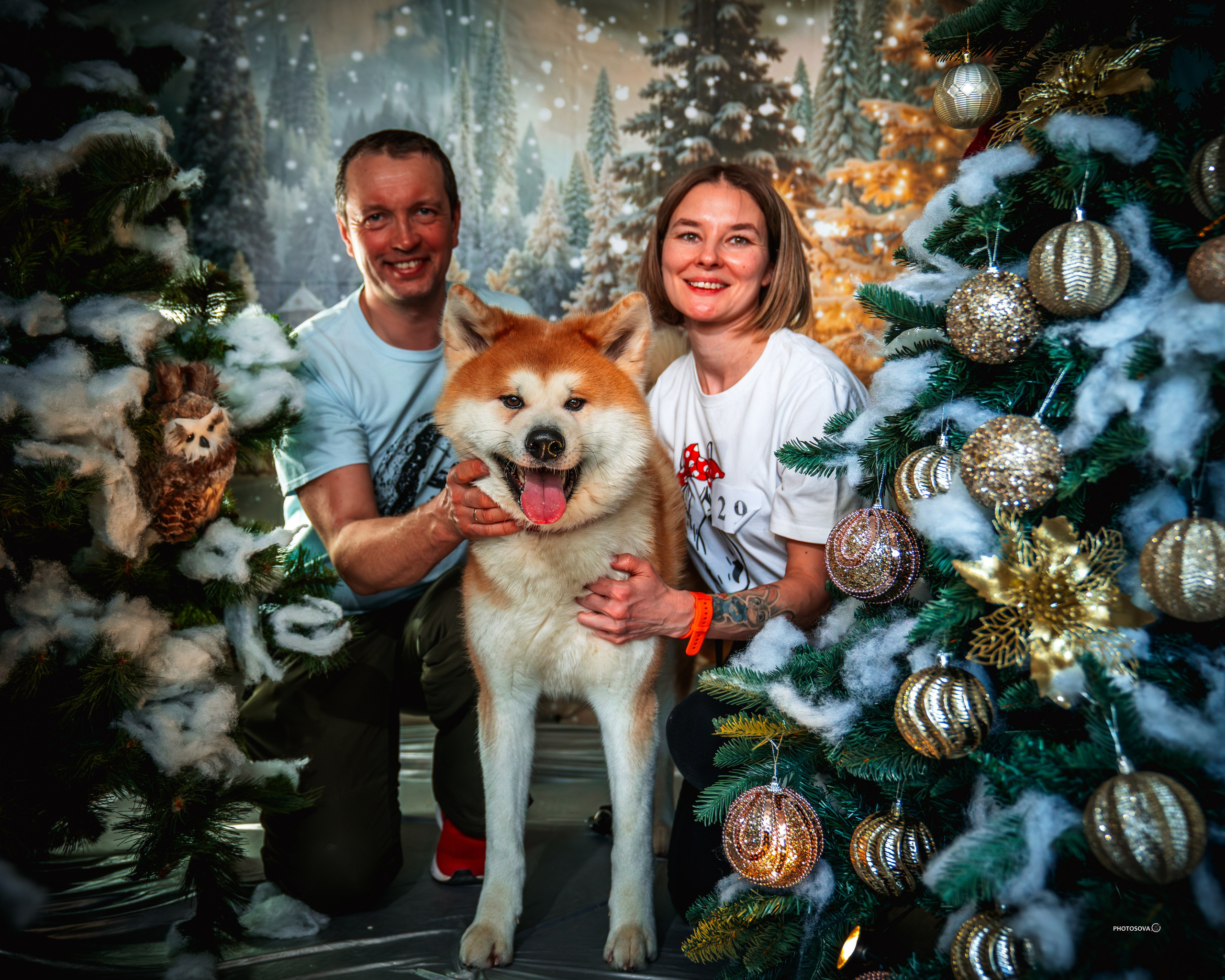 ФОТОПАМЯТЬ ВАШИХ ЭМОЦИЙ. Фотограф-анималист, семейный фотограф в Москве и Подмосковье. Фотосъёмка кинологических дисциплин