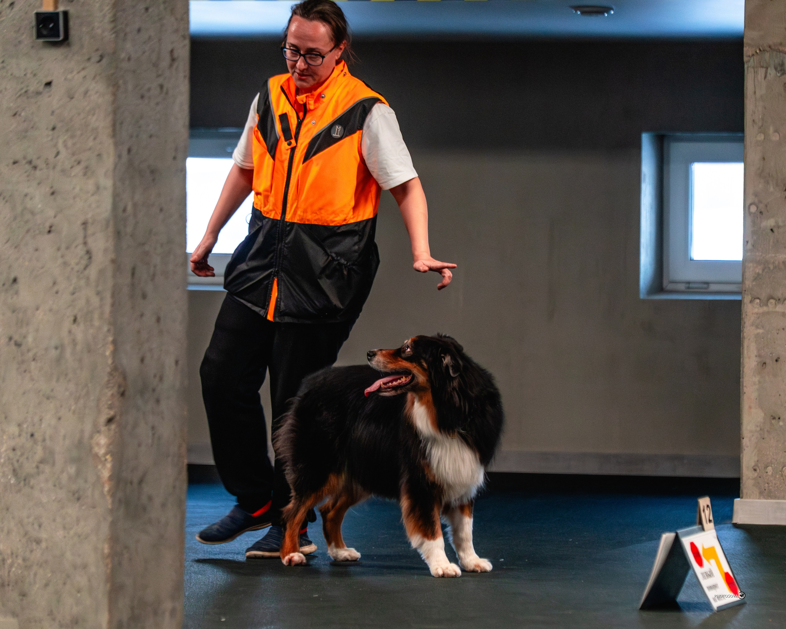 ТЫ И Я (соревнования по ралли-обидиенс). Фотограф-анималист, семейный фотограф в Москве и Подмосковье. Фотосъёмка кинологических дисциплин