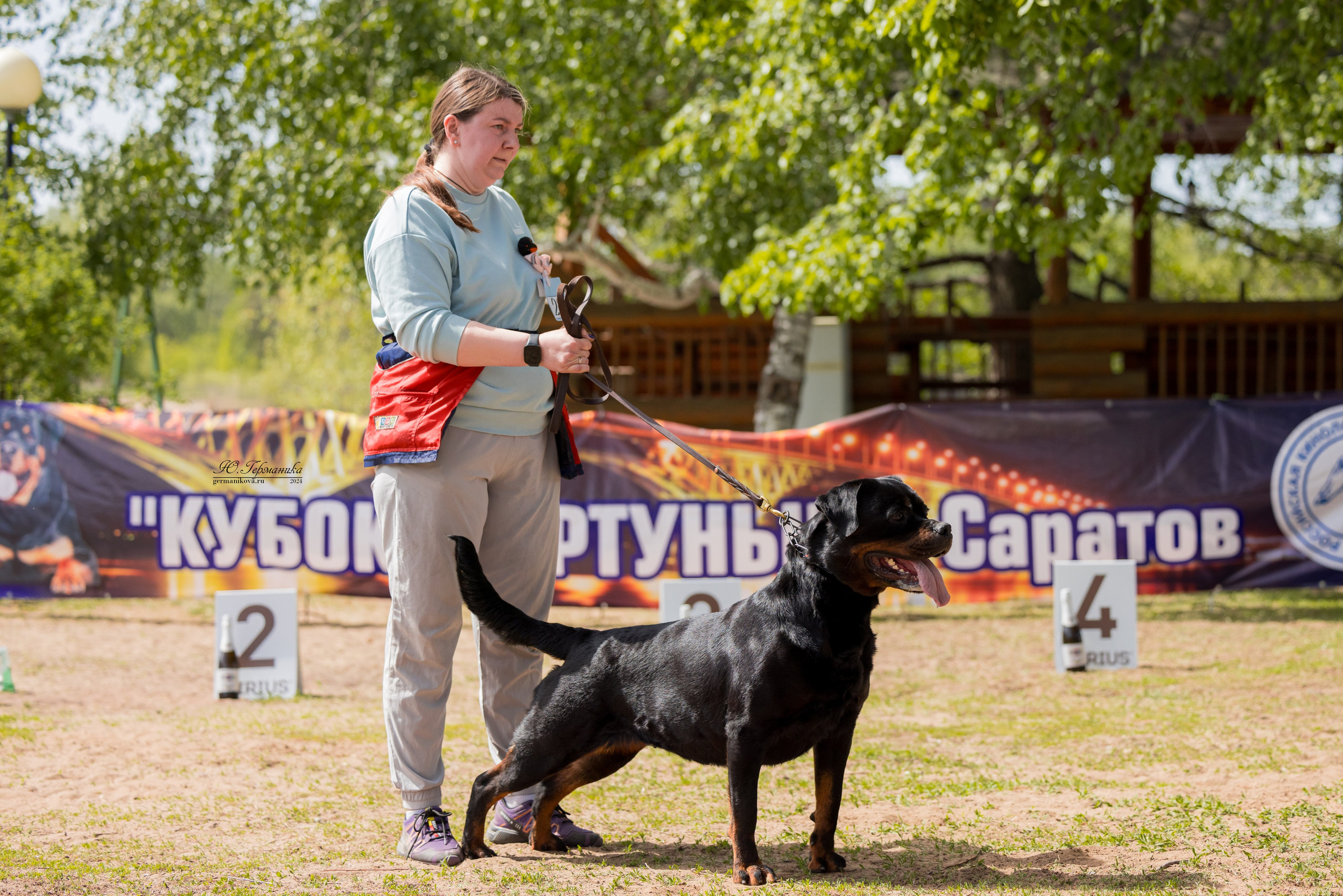 Саратов 2 х моно ротвейлеров 28-29.04.2024. Фотограф-анималист Юлия Германика