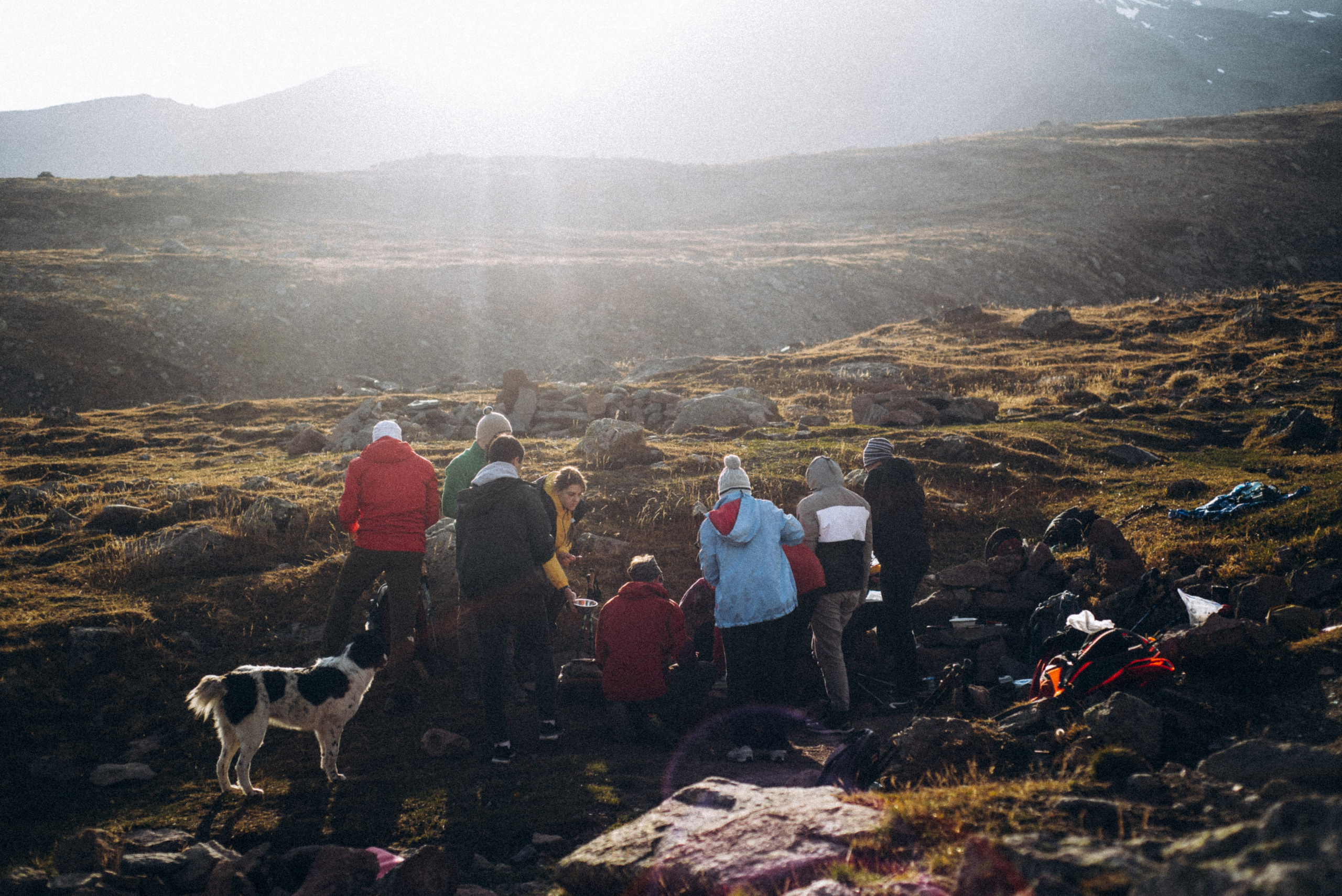 Казбеги, Грузия 🇬🇪 «PVD Club». Anita_photo