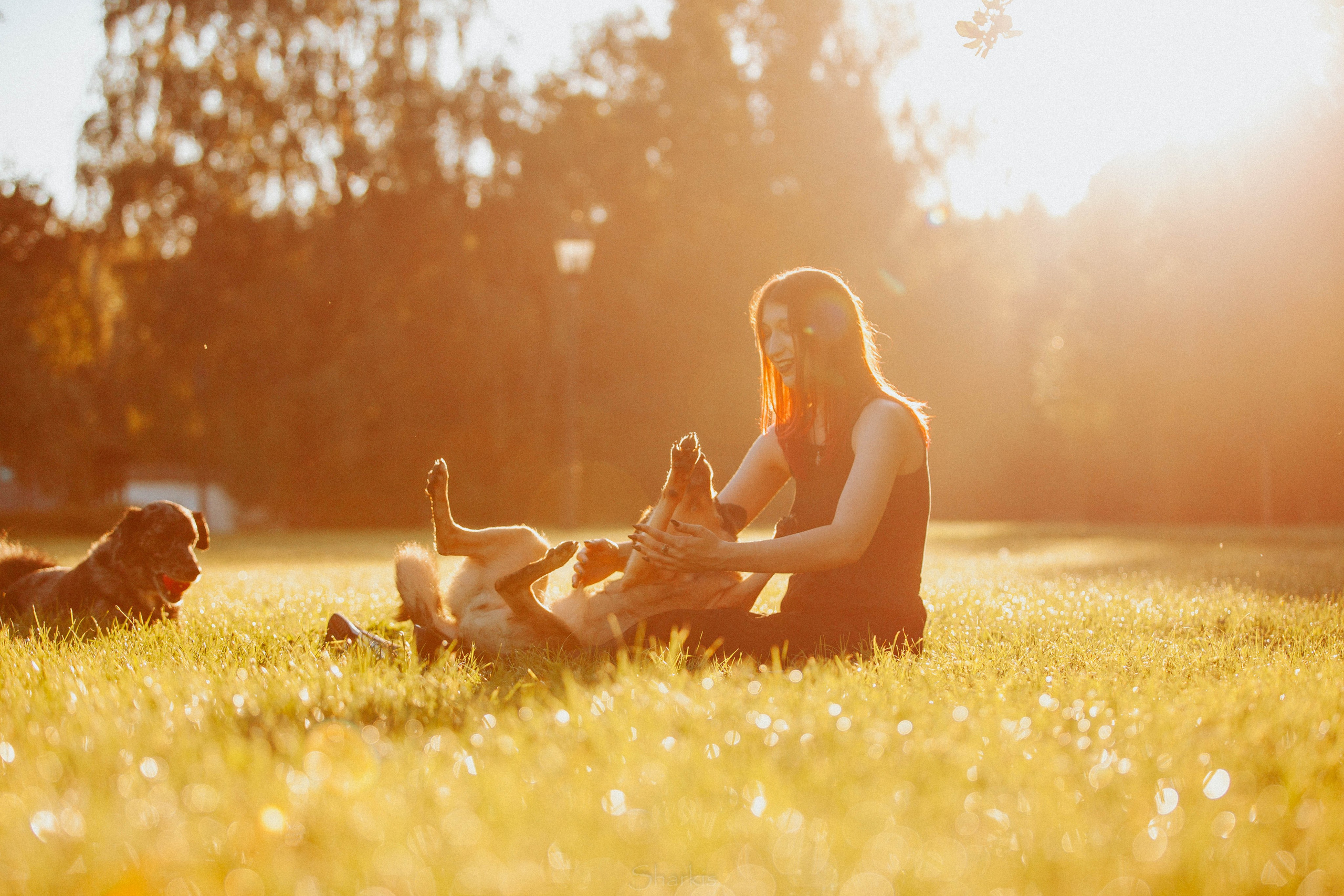 Вега и Гриша. Главная