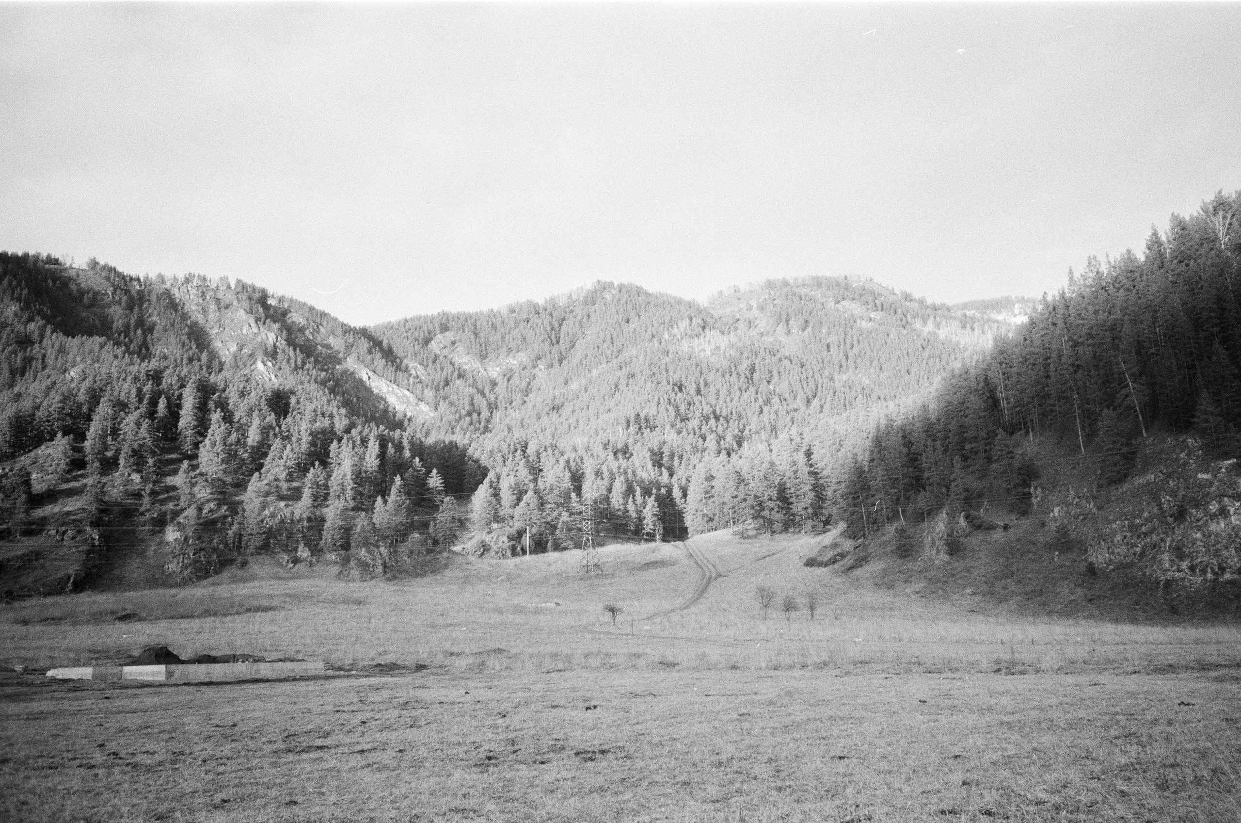 Olympus AF-10 SUPER / Ilford PAN 400 / Алтай, зима 2023 год