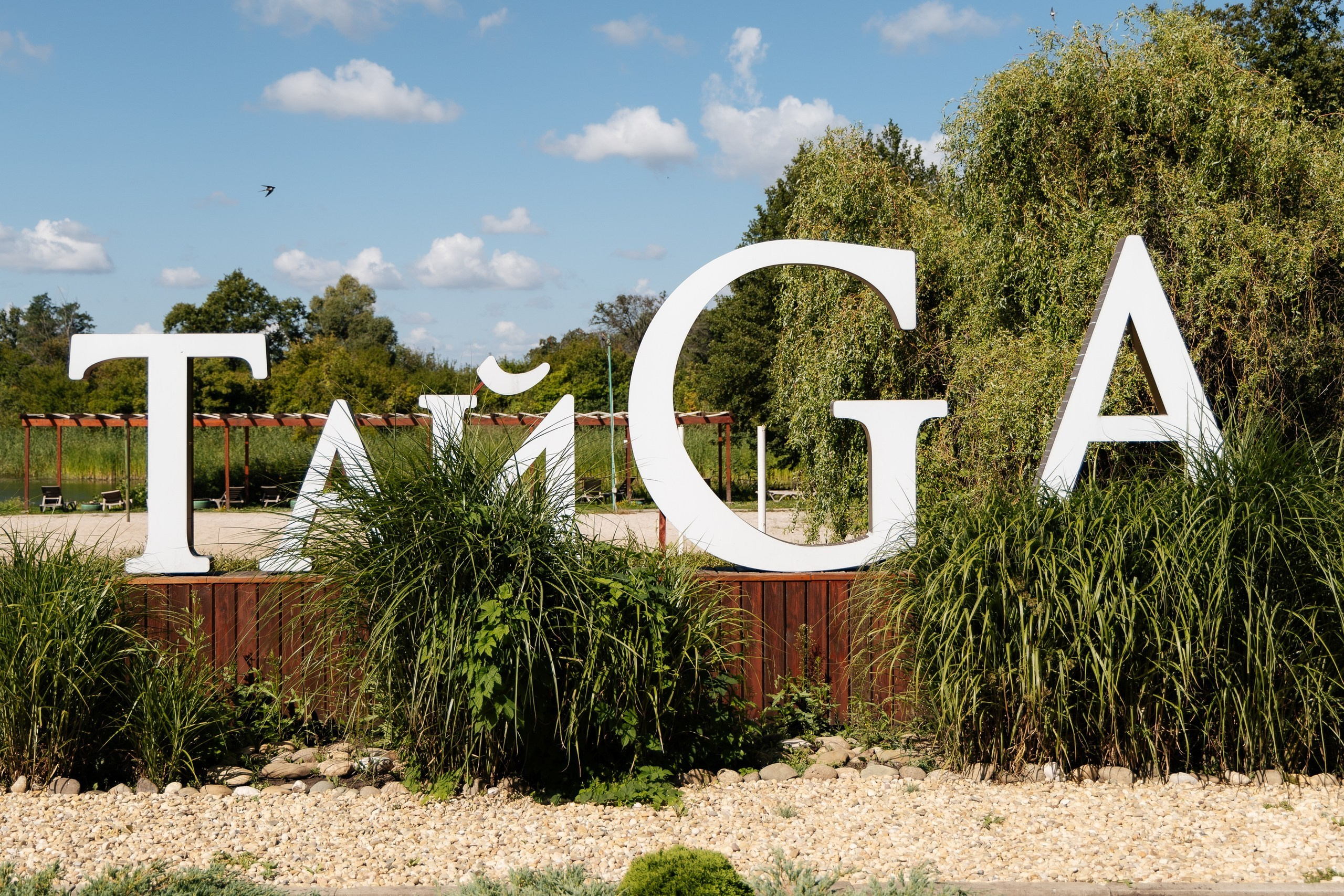 Трейдсан | Корпоратив 12 лет. Свадебный и репортажный фотограф в Воронеже Сергей Максимов