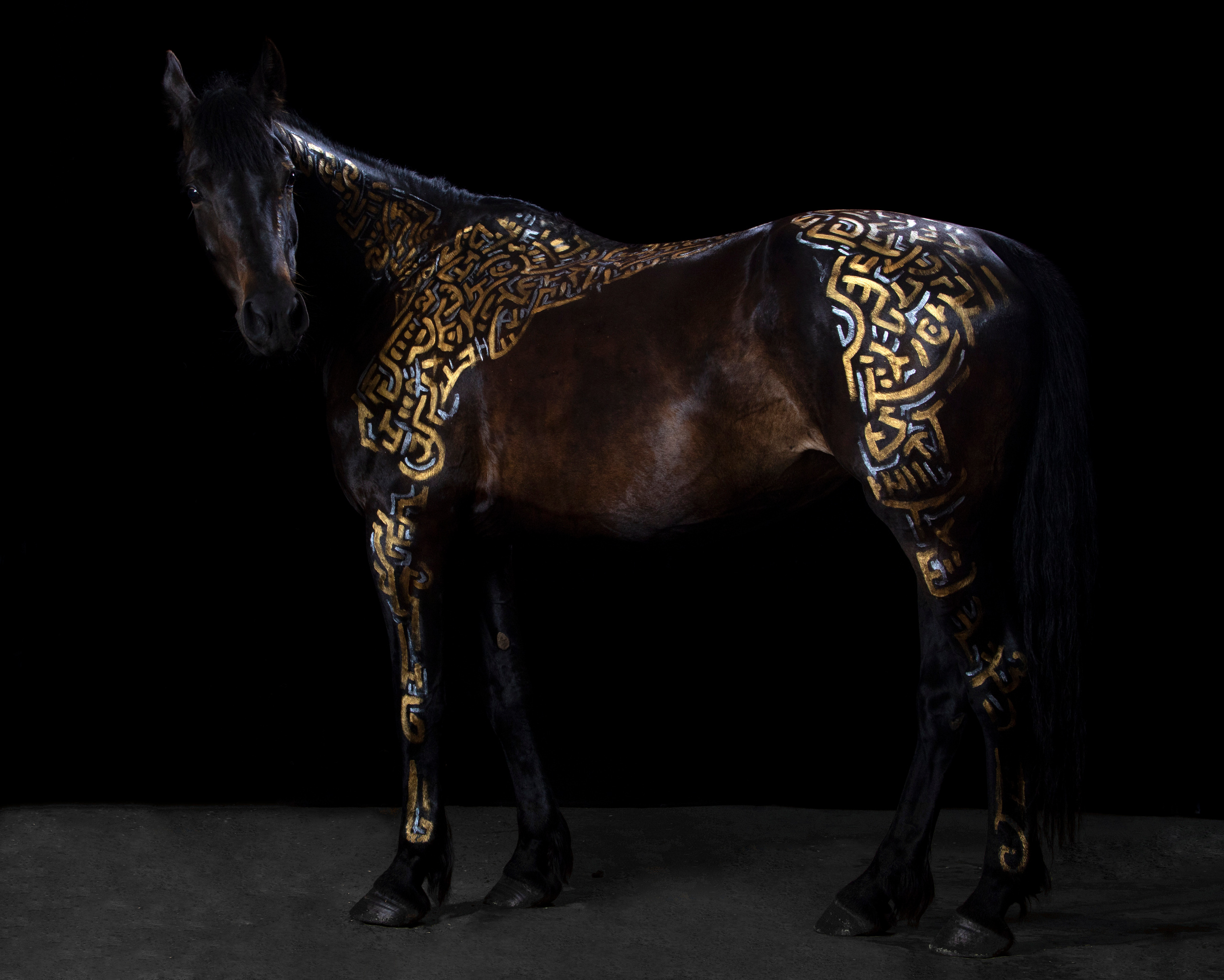 А такое видали?. Балетный фотограф в Москве Галина Молчанова