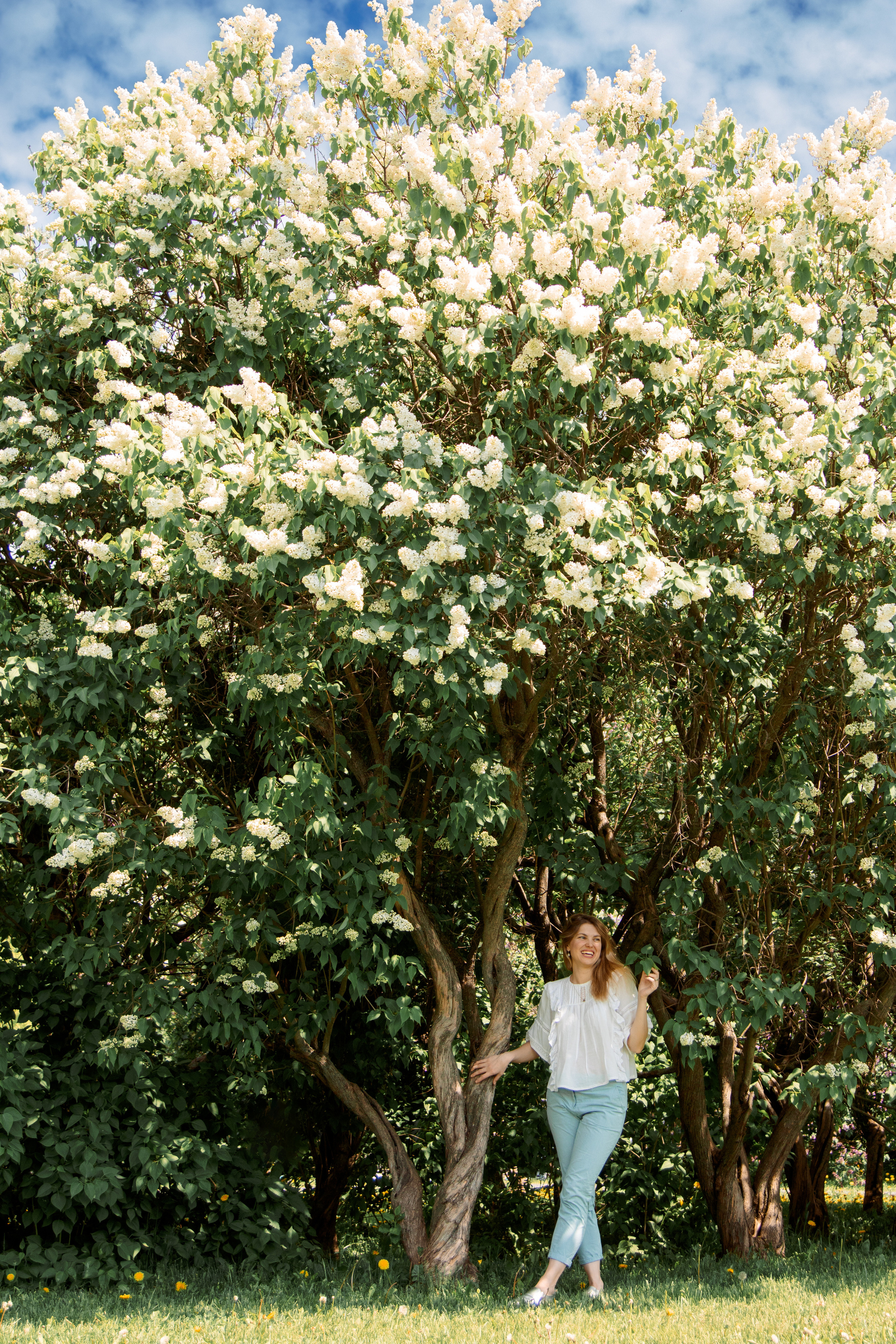 Сиреневый сад. Балетный фотограф в Москве Галина Молчанова
