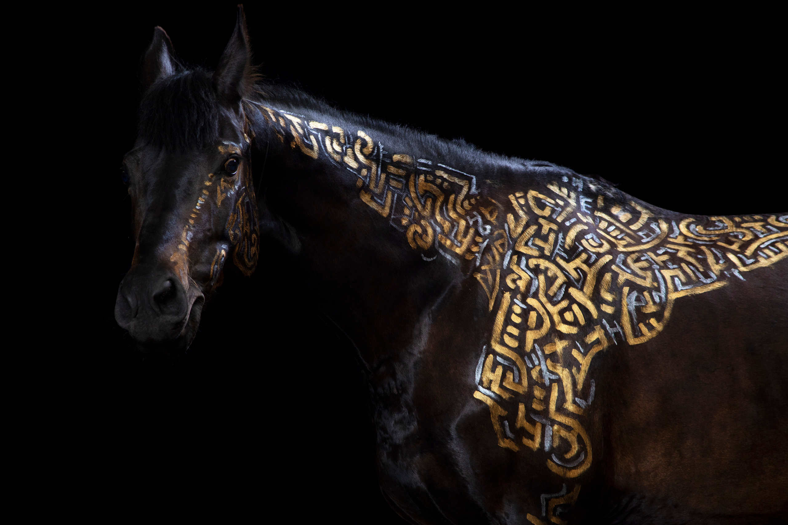 А такое видали?. Балетный фотограф в Москве Галина Молчанова