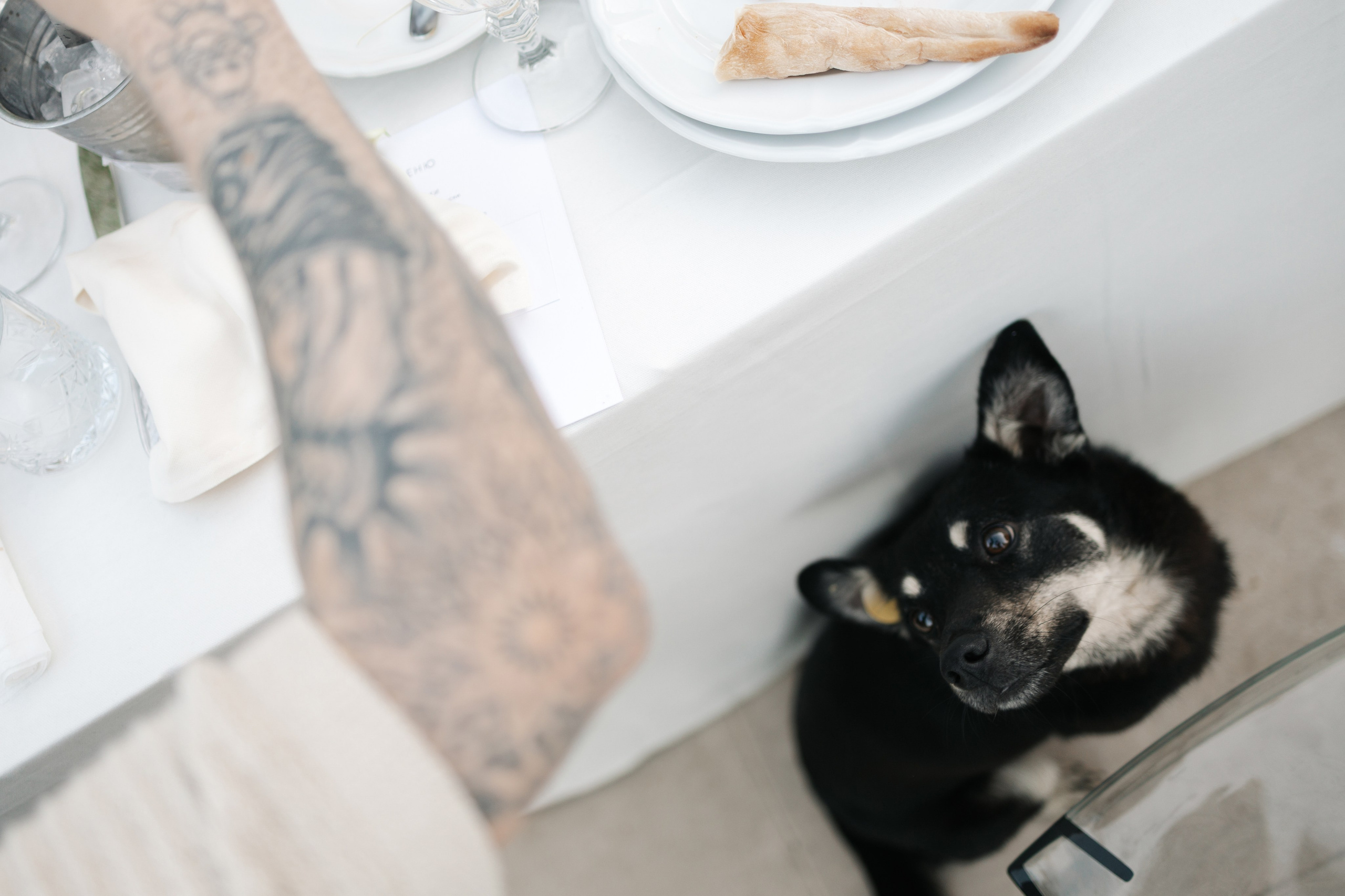 Для конкурса. Свадебный фотограф Москва Мотеюнайте Виктория