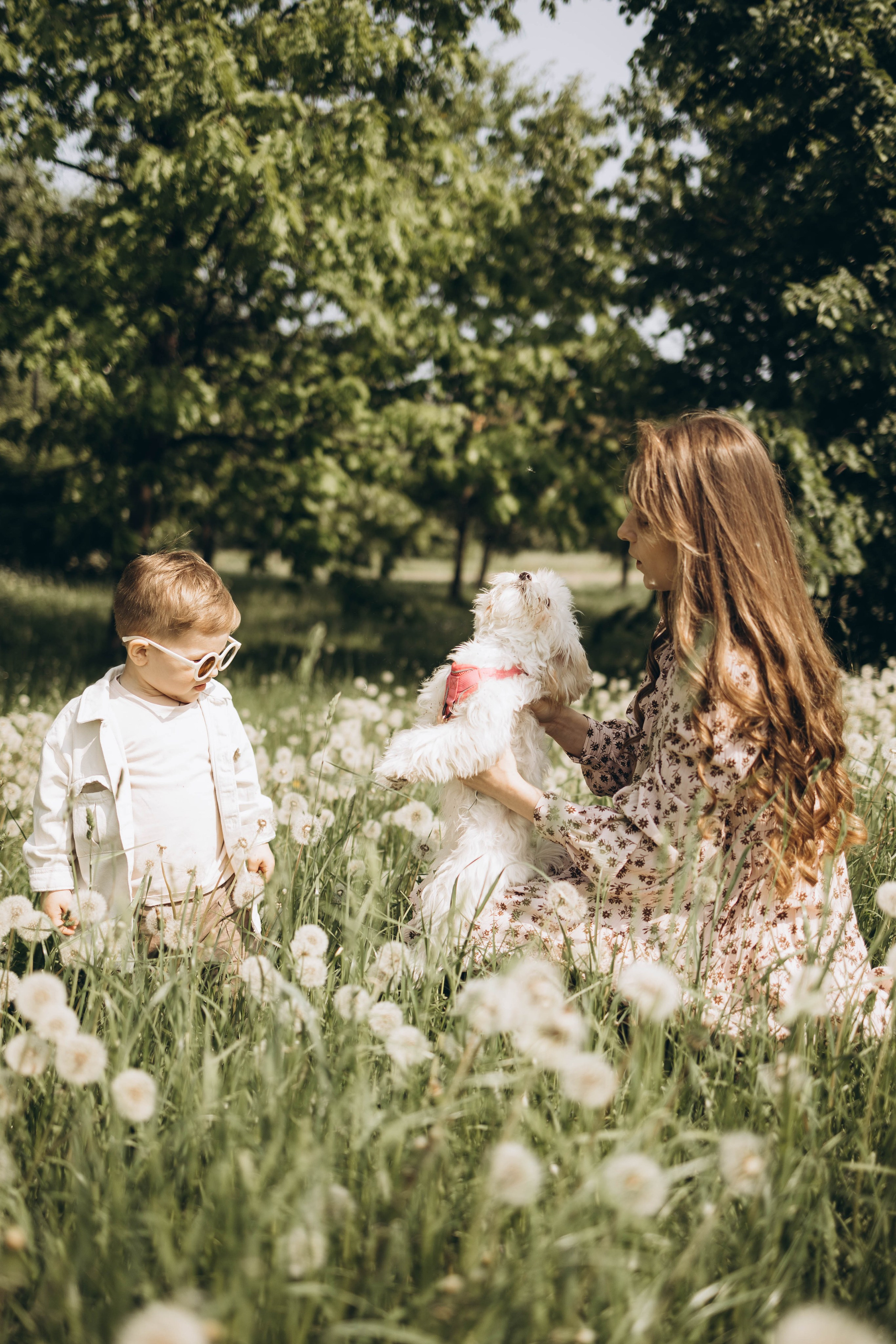 Полина, Дима, Тёма и Мили. Семейный фотограф в Москве Виктория Ястребинская