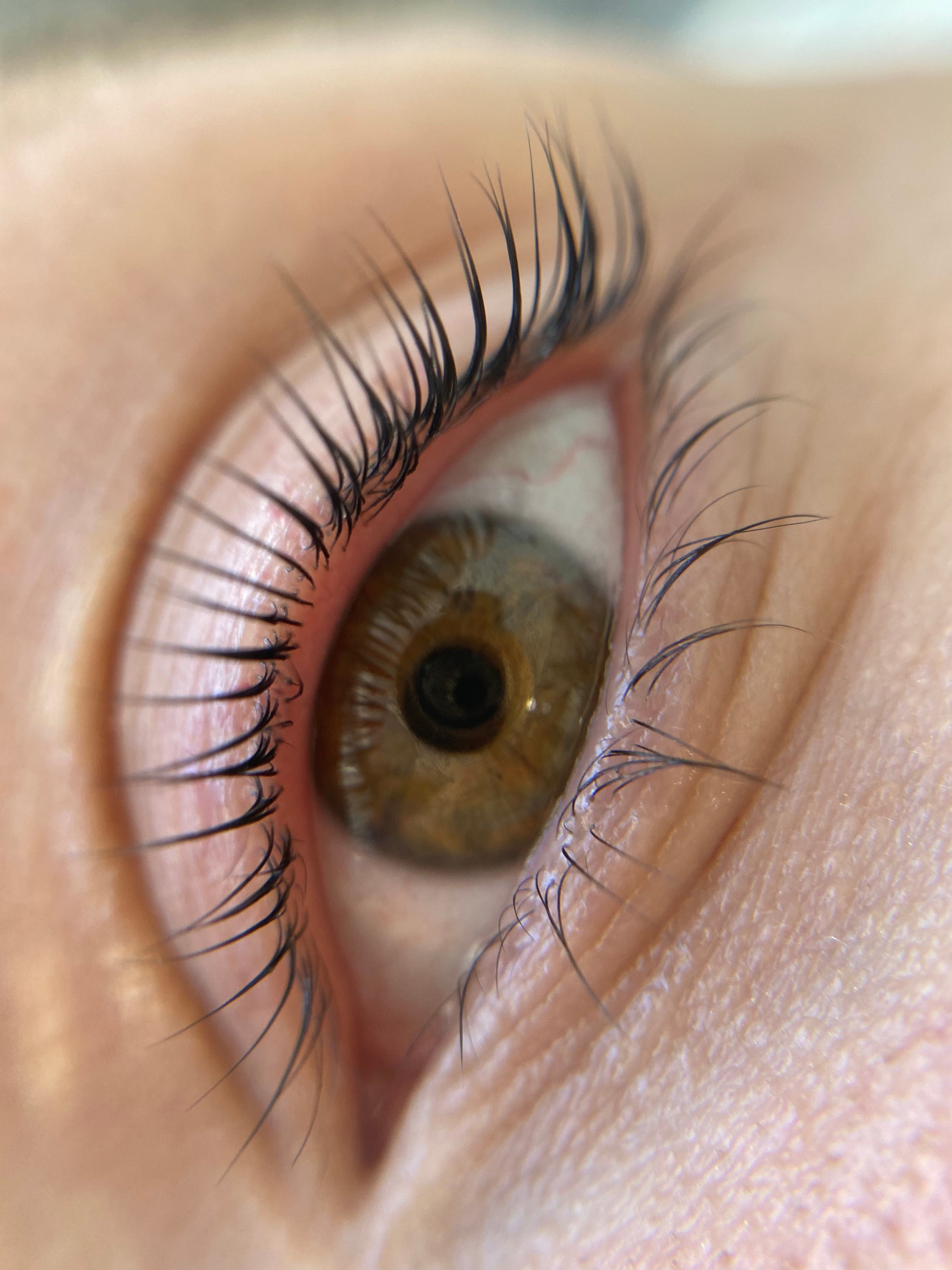 Ламинирование ресниц в Москве. СВАДЕБНЫЙ ВИЗАЖИСТ-СТИЛИСТ В МОСКВЕ ПРИЧЕСКИ МАКИЯЖ БРОВИ ВЫЕЗД