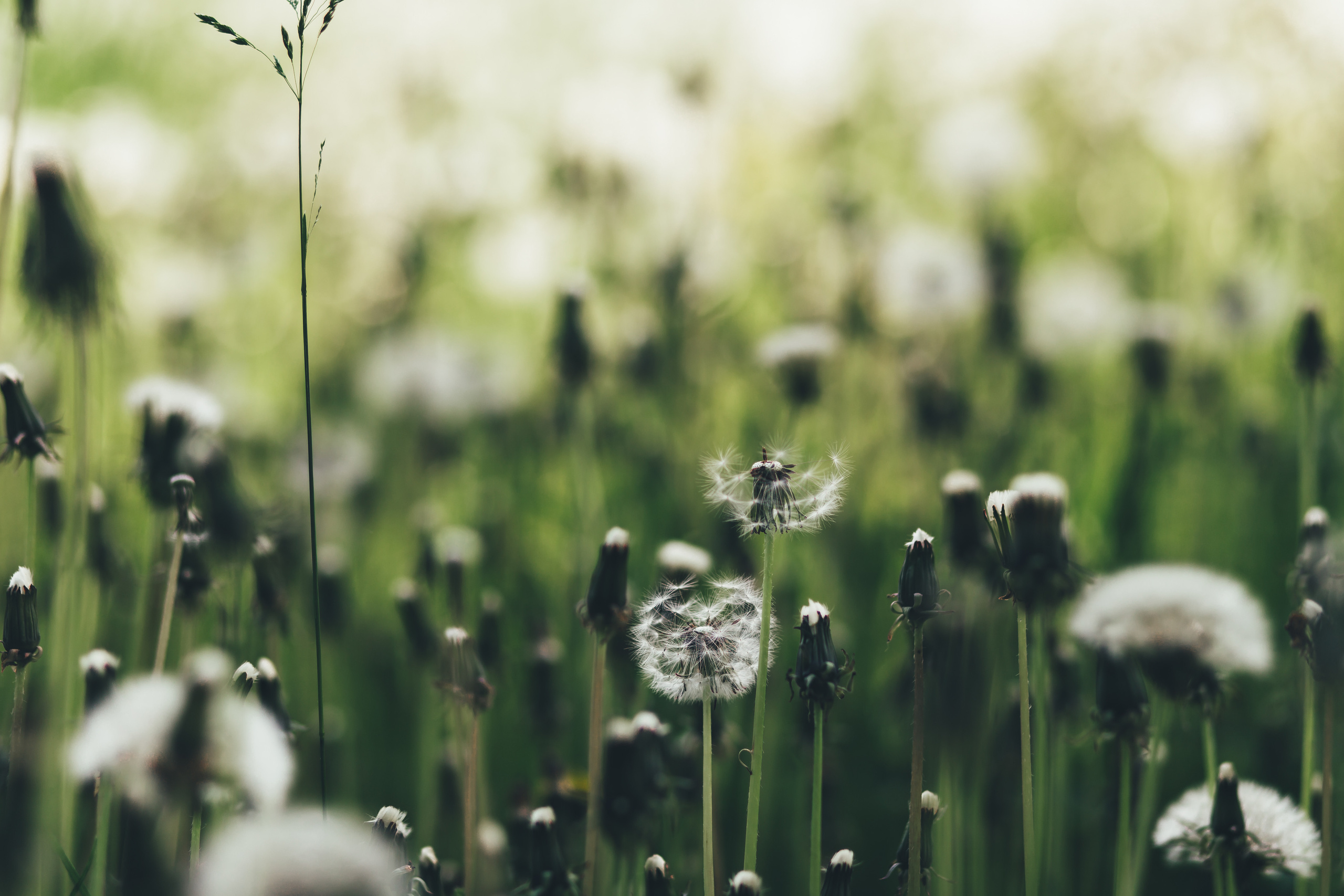 Ольга. Фотосъемка и видеосъемка в Калининграде Liveemotion.pro