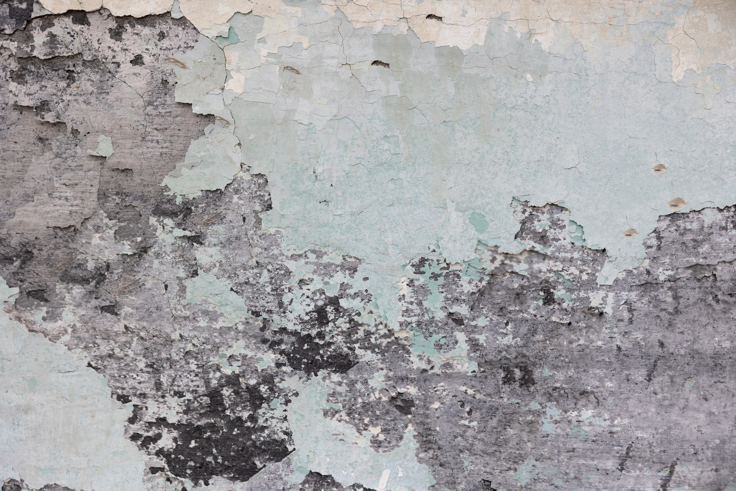 Art prints. Фотограф алина стерхова, алина стерхова фотограф, фотограф москва