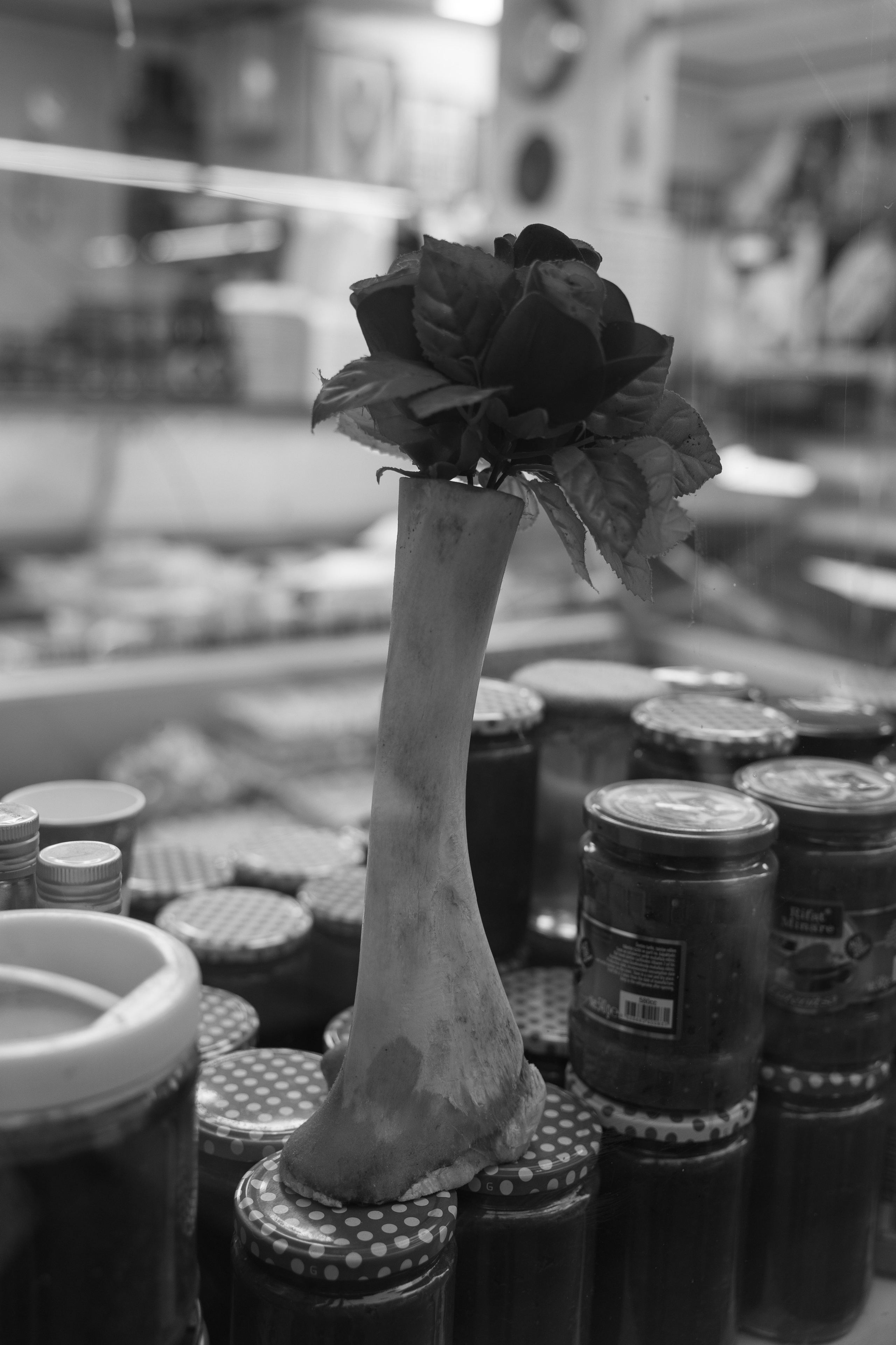 Точка сборки | The assembly point. Фотограф алина стерхова, алина стерхова фотограф, фотограф москва