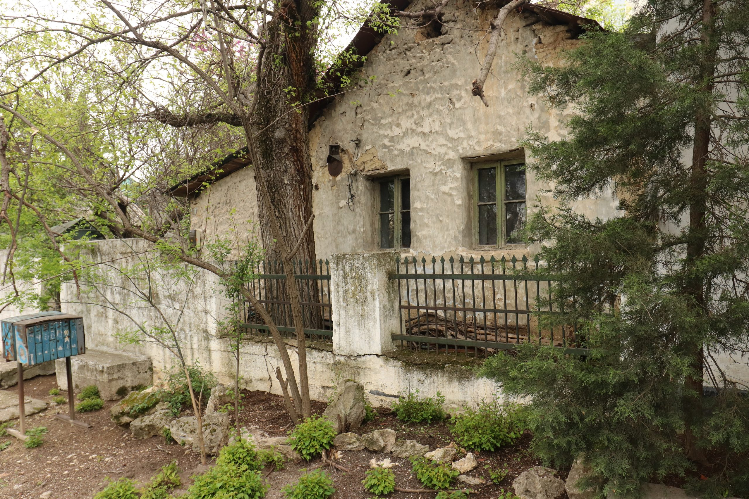 Крым. ЮБК (Севастополь, Кастрополь, Ялта). Май 2023. Путешественник-фотограф из Санкт-Петербурга Татьяна Свистулина