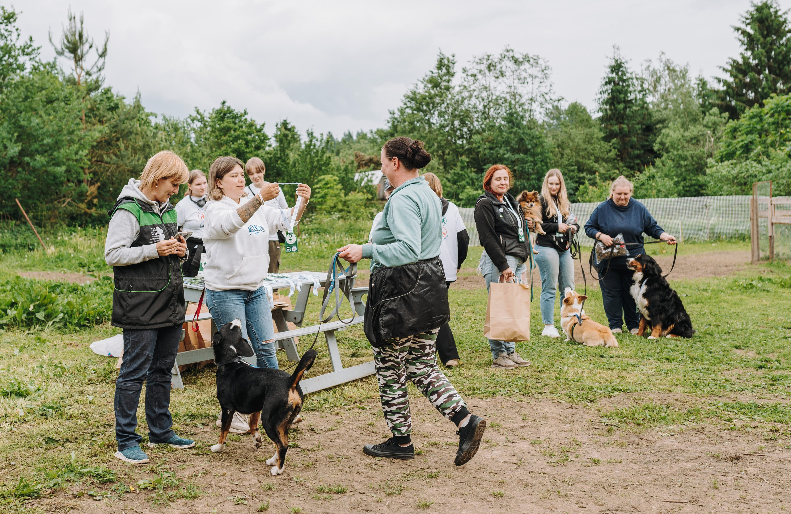 Соревнования по ноузворку. Фотограф анималист в Спб недорого Олеся Майорова