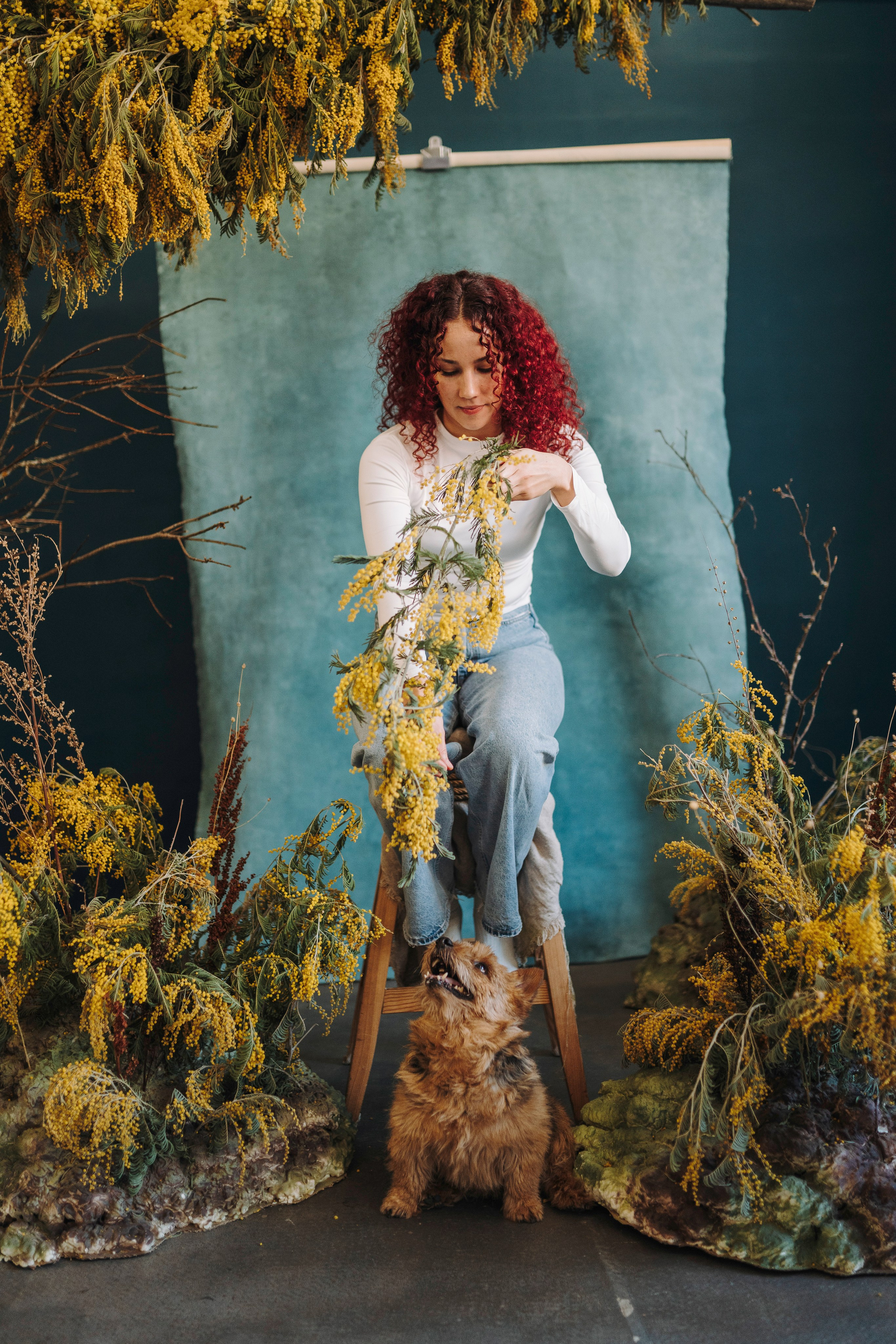 Маша и Рамси. Фотограф анималист в Спб недорого Олеся Майорова