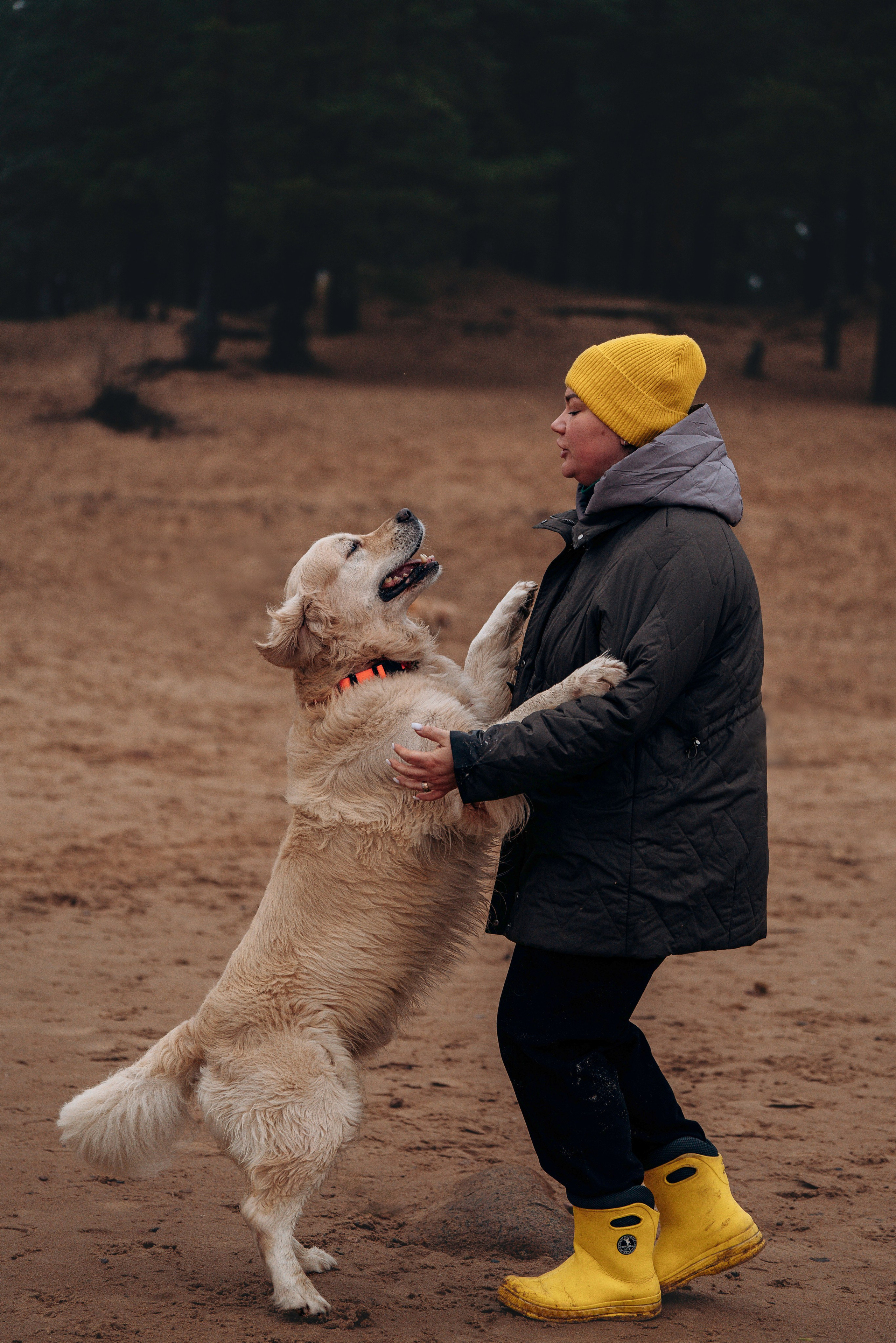 Асти, Крис и Александра. Фотограф анималист в Спб недорого Олеся Майорова