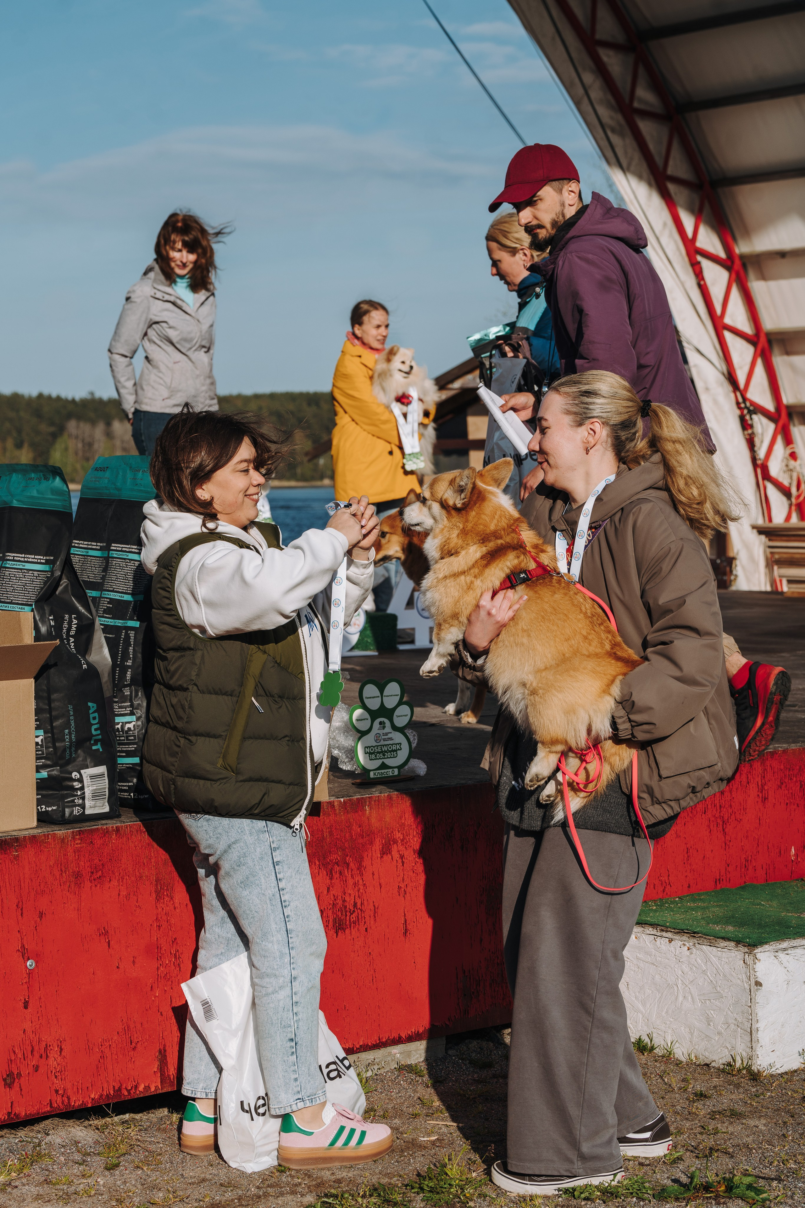 Соревнования по ноузворку в Лосево. Фотограф анималист в Спб недорого Олеся Майорова