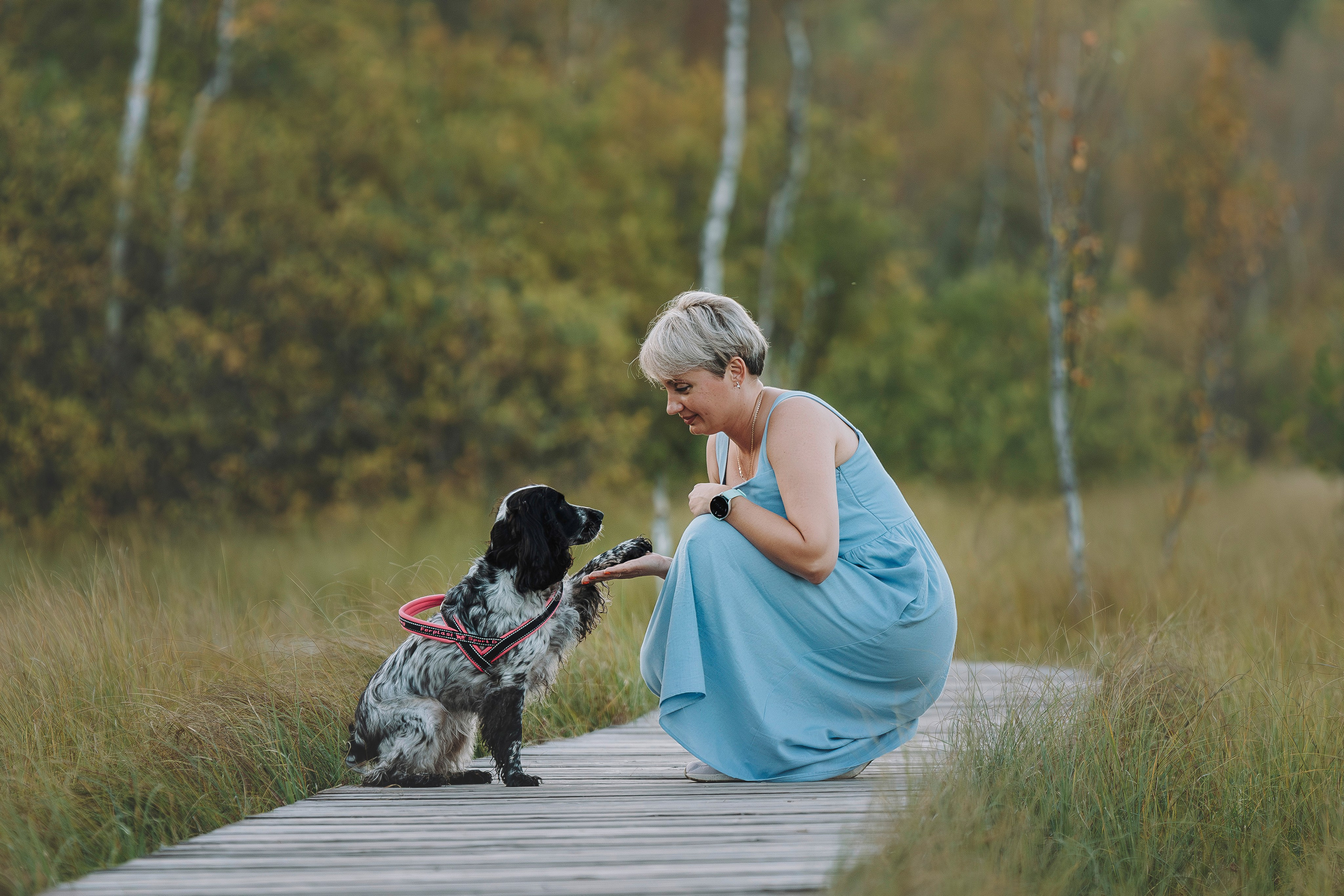 Аня и Тея. Фотограф анималист в Спб недорого Олеся Майорова