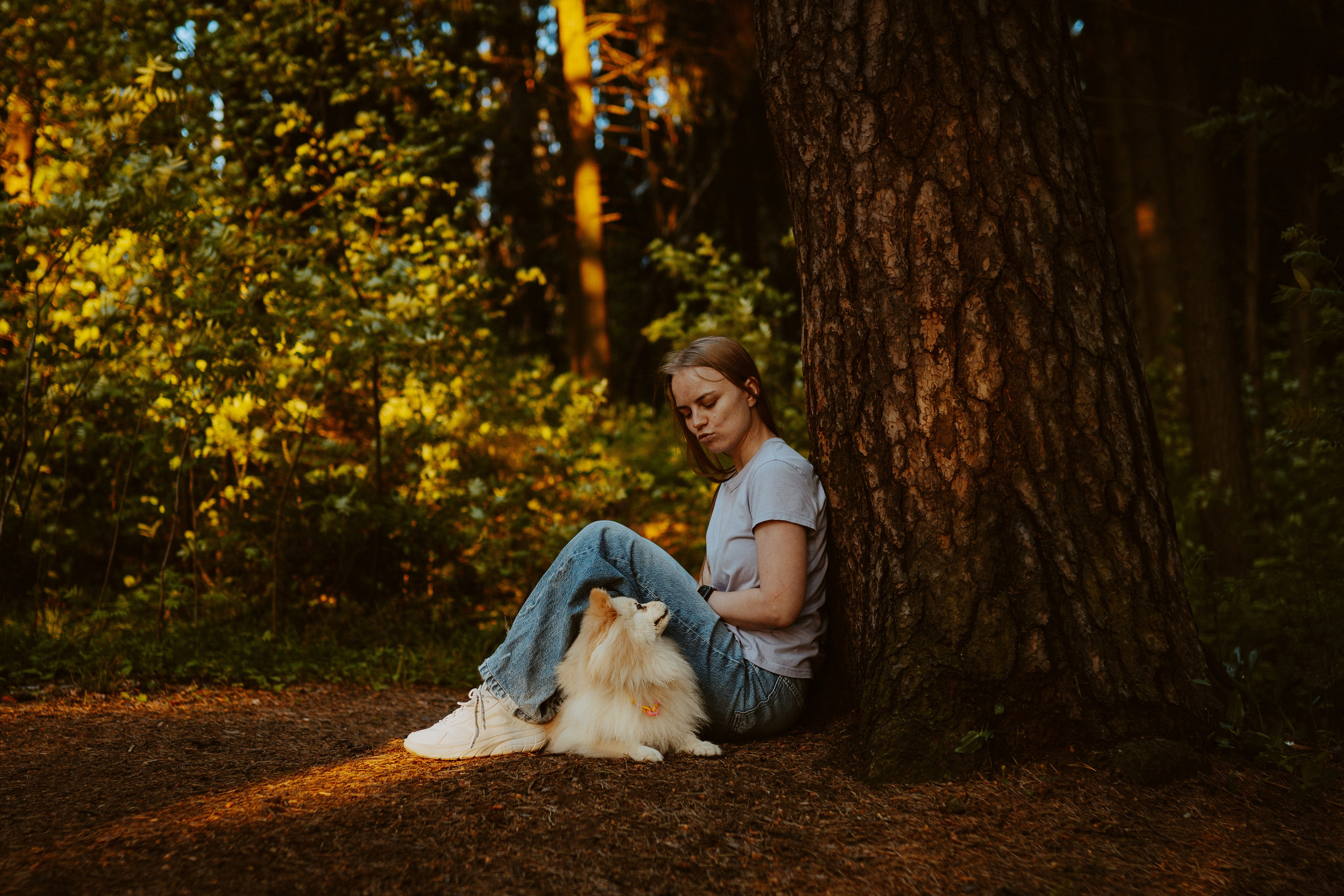 Фотосессия с собачкой в лесу. Фотограф анималист в Спб недорого Олеся Майорова