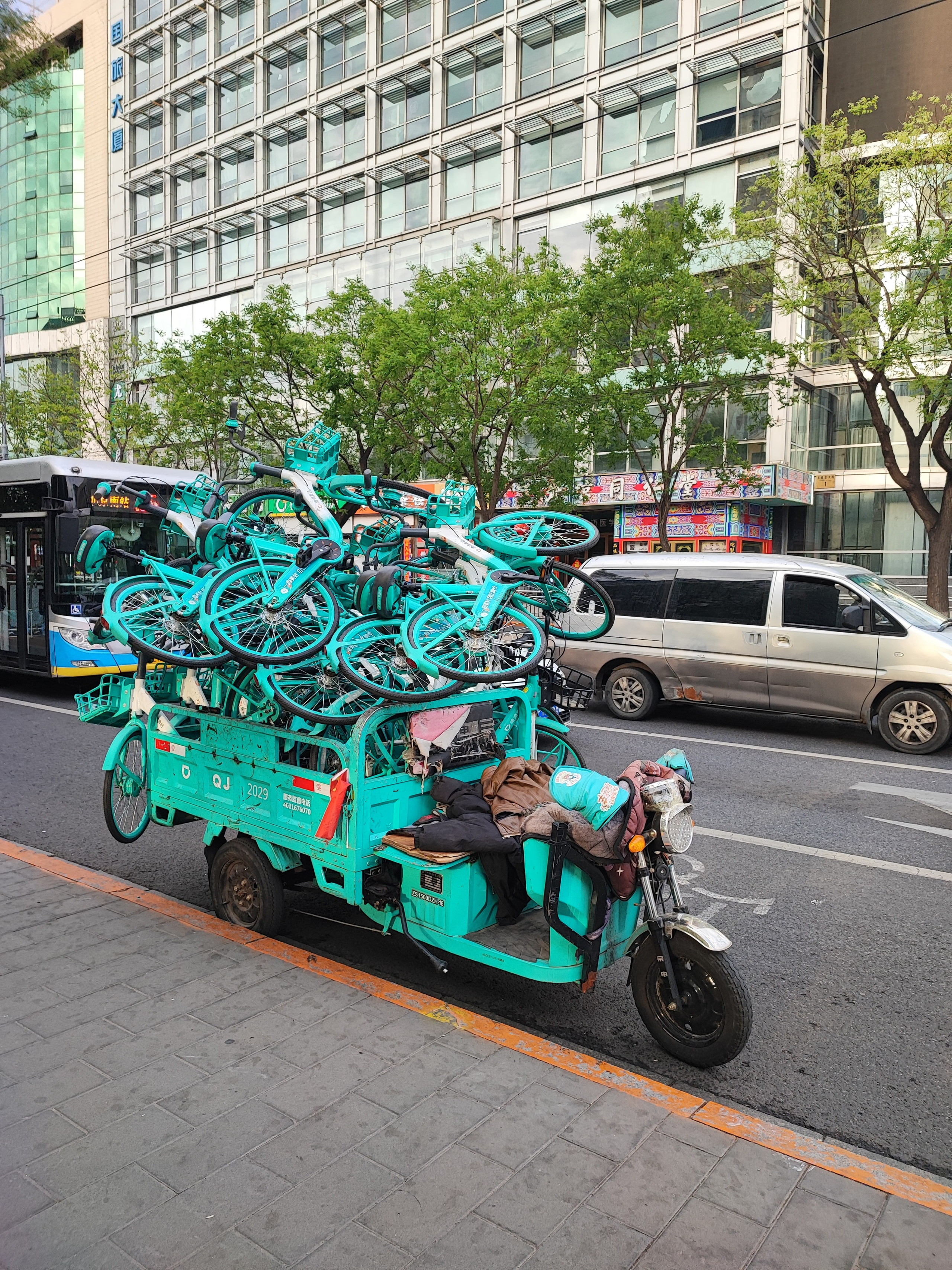 Намобилкус китайский. Репортажный фотограф Алексей Пирязев