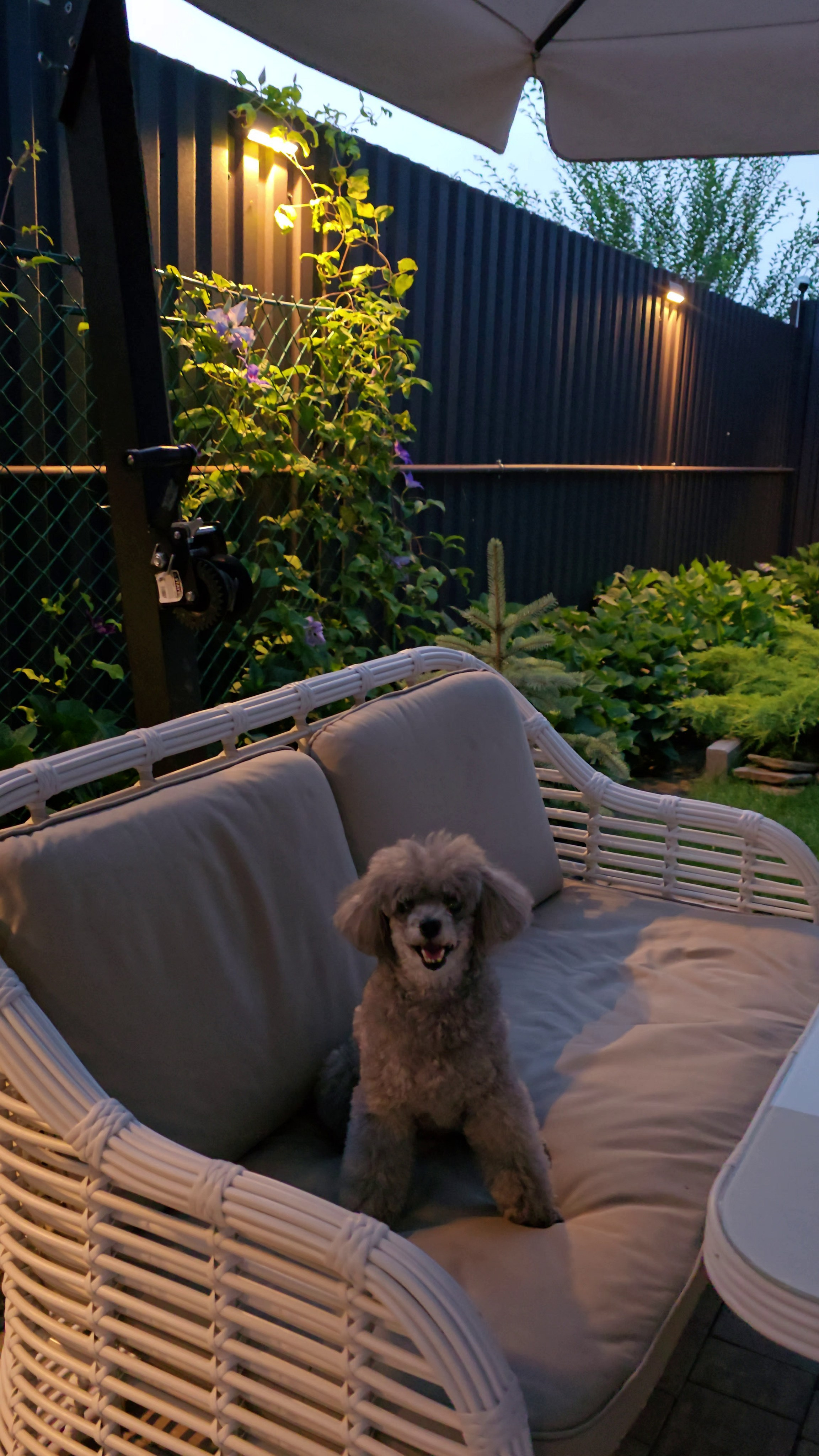 Участок Оксана. Дизайн интерьера, мебели и ландшафта на КМВ | OXY Design