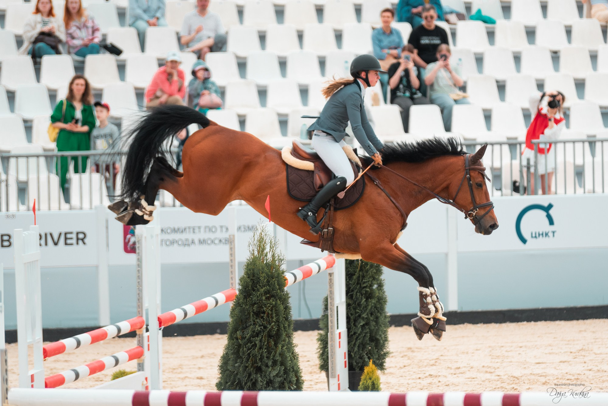 BITRIVER CUP 2023. Конный фотограф Куракина Дарья • Фотосессии с лошадьми