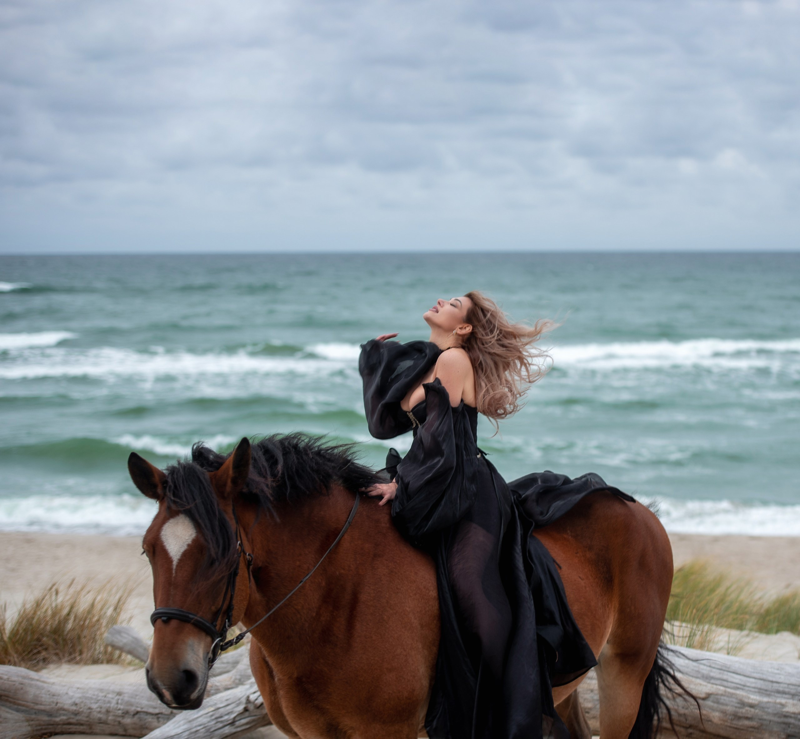 Побережье Балтийского моря. Фотограф с лошадьми в Калининграде Татьяна Ларина