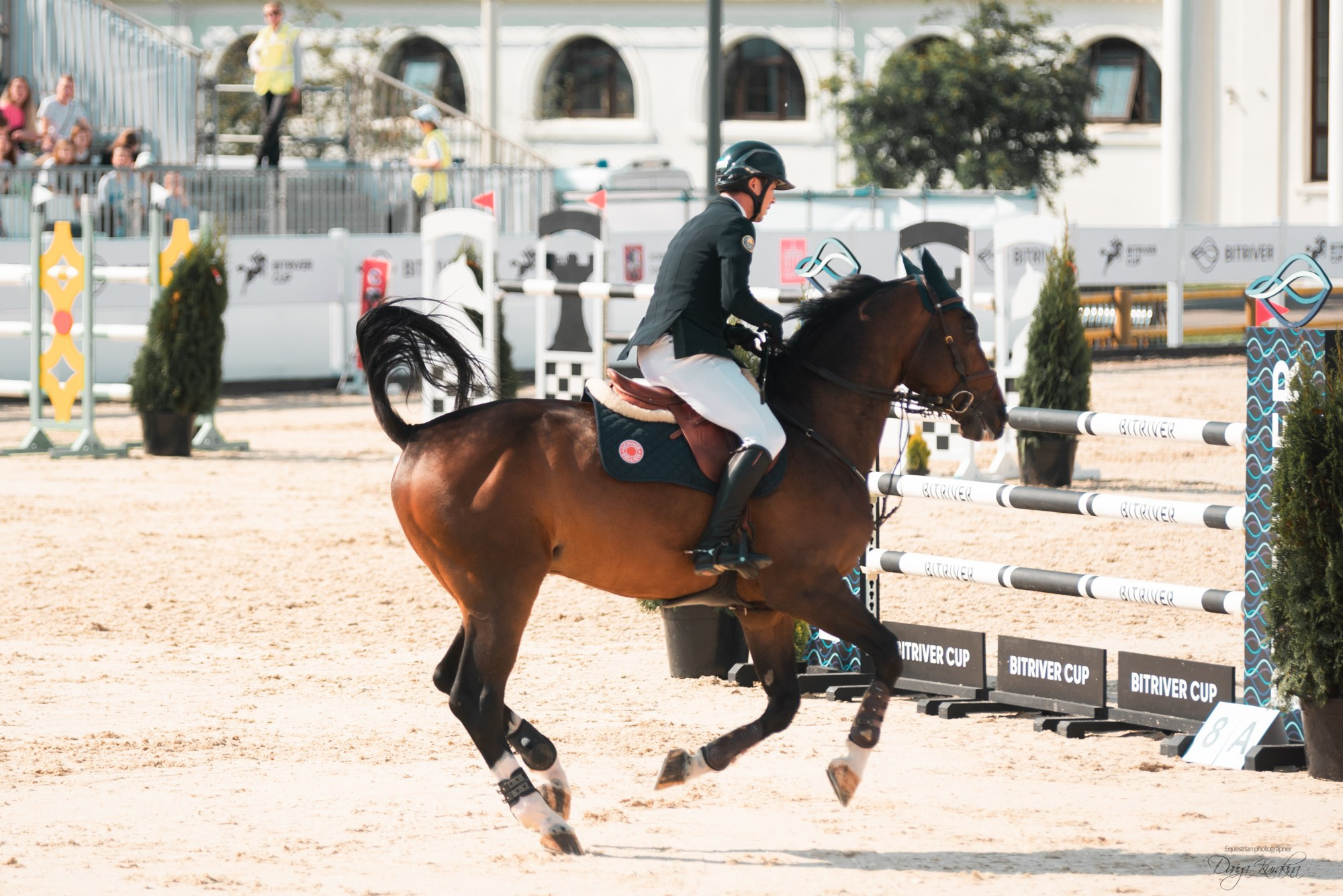 BITRIVER CUP 2023. Конный фотограф Куракина Дарья • Фотосессии с лошадьми