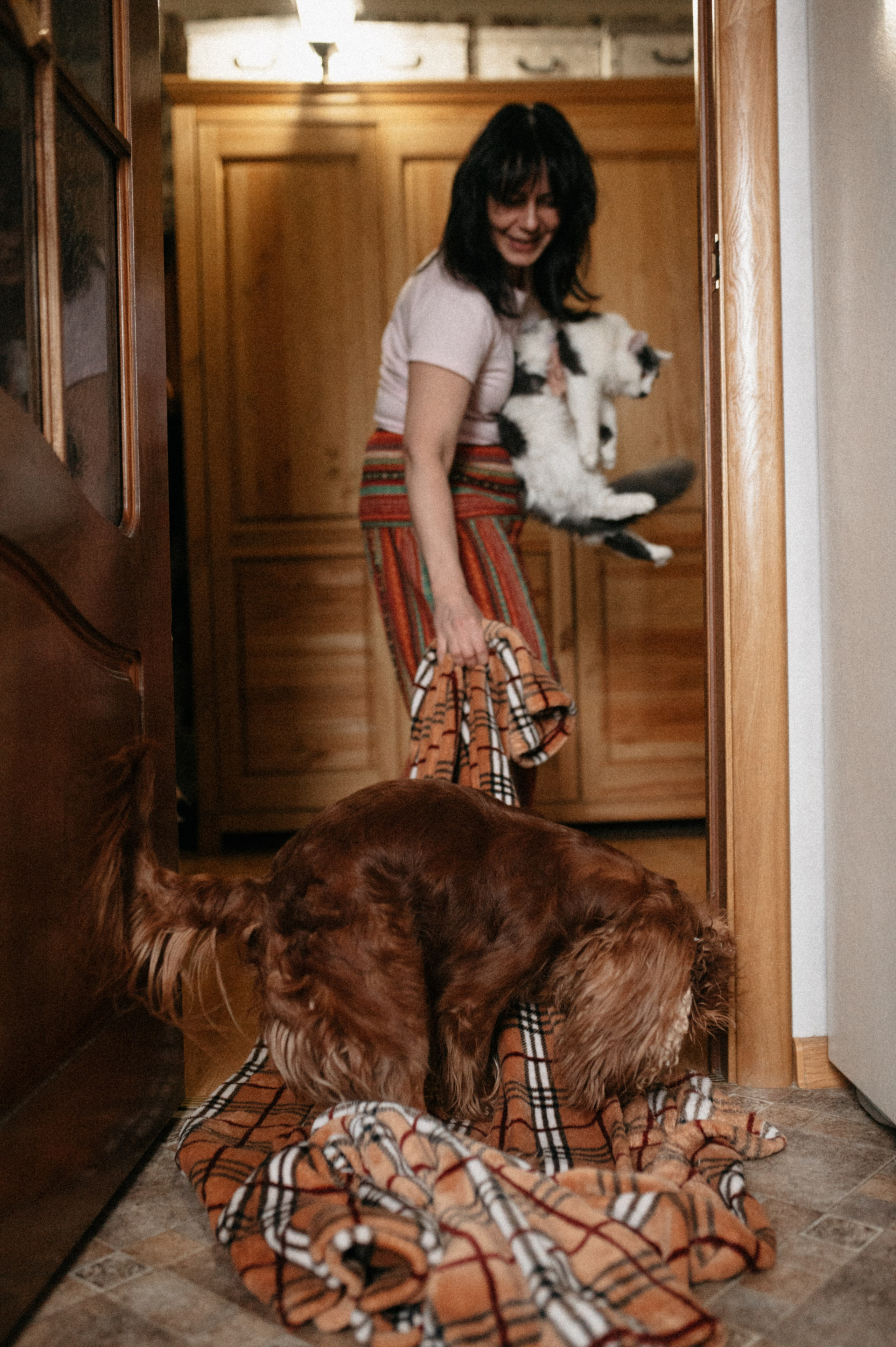 Оля и её меховая банда. Фотограф анималист в Москве Ольга Агушева