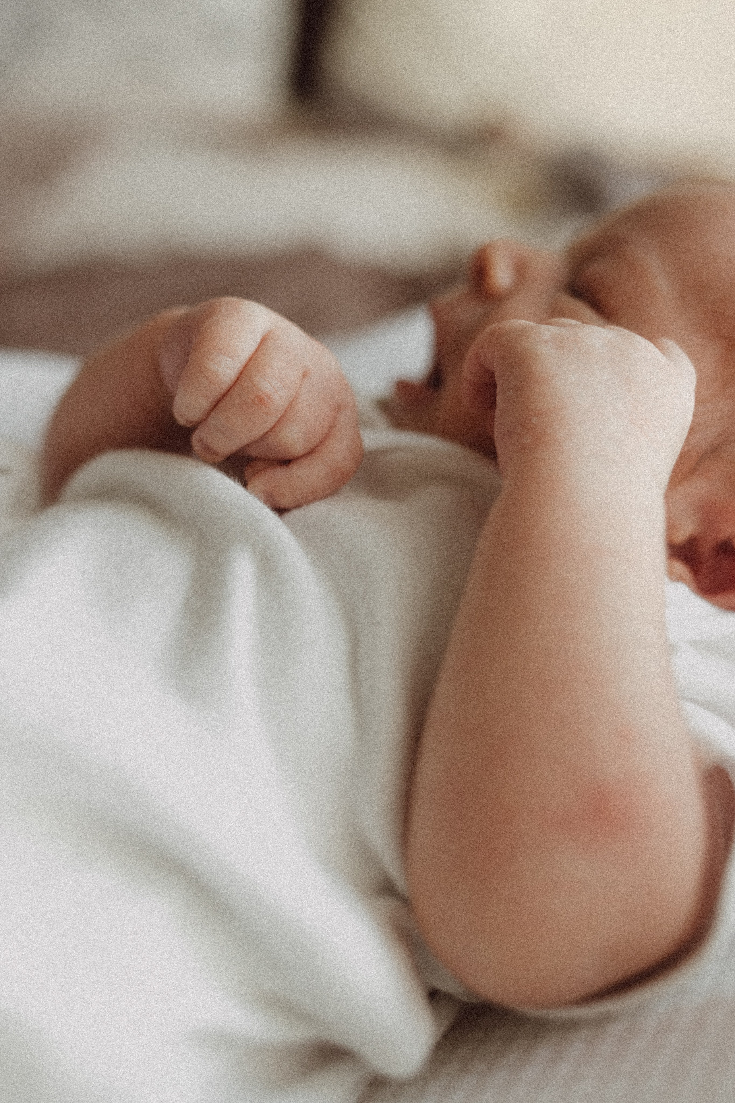 Лев родился. Фотограф Ксения Степаненко