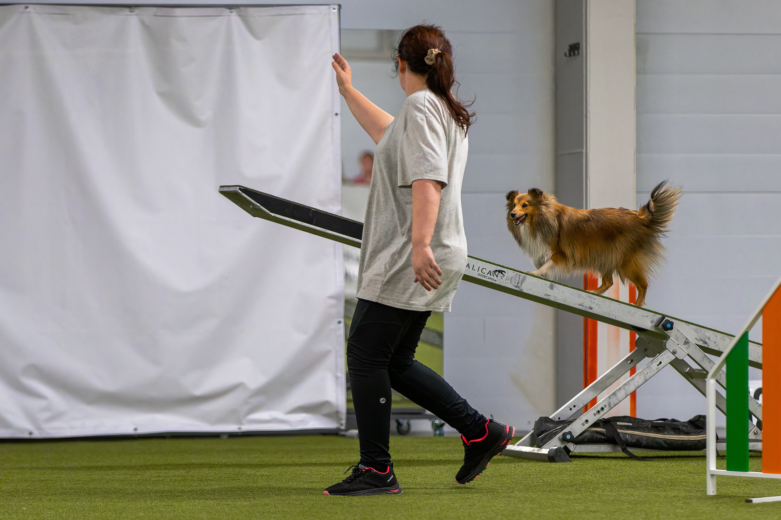 Baltic Cup 2024. Irenephoto.ru