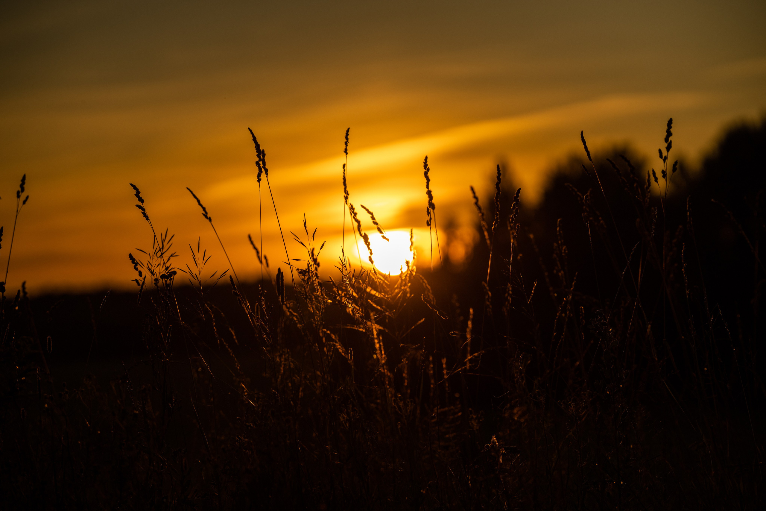 Природные пейзажи. Наталия Клевинскас портретный фотограф в Костроме