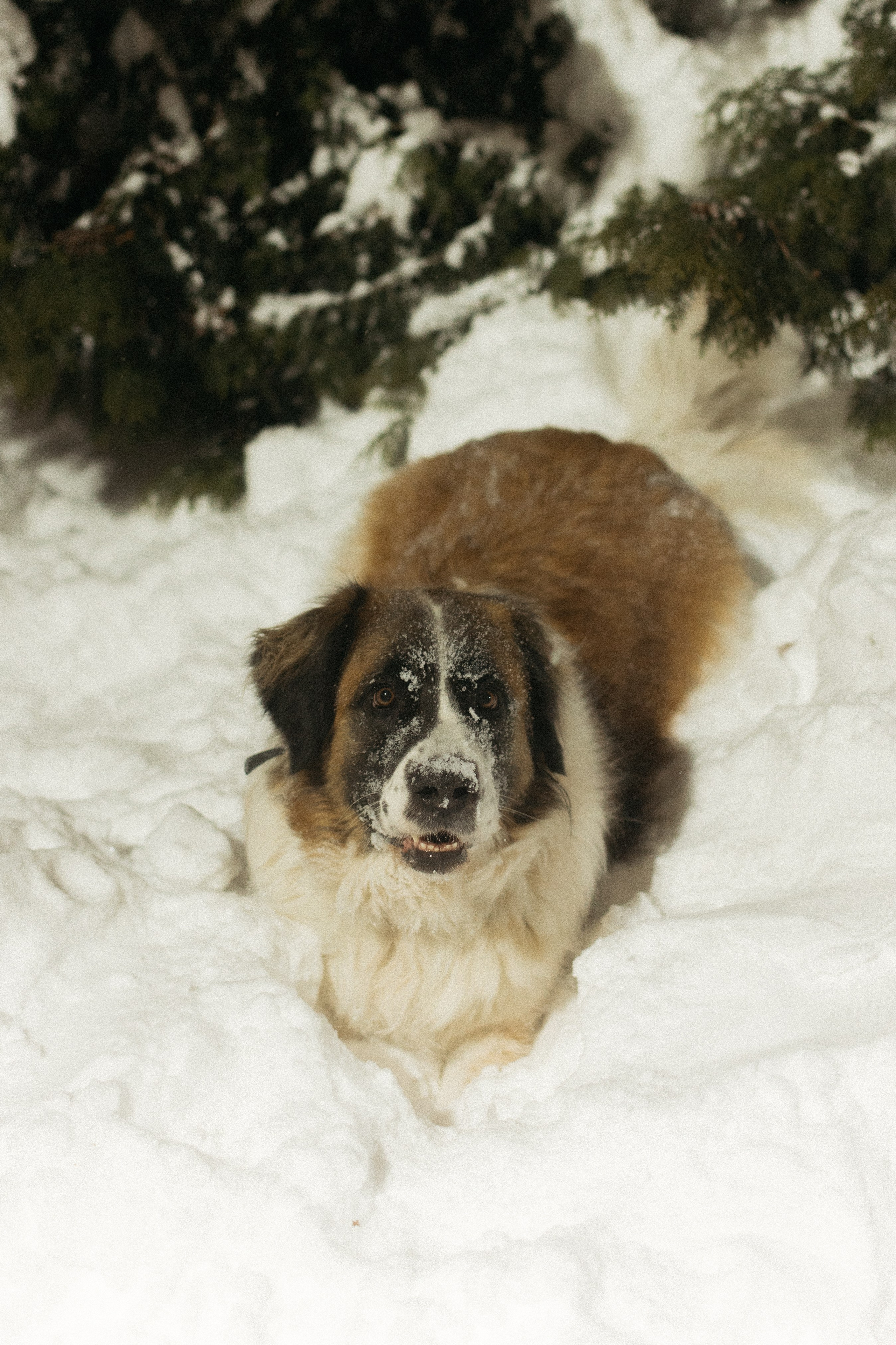 Когда на улице холодно. Фотограф из Петербурга
