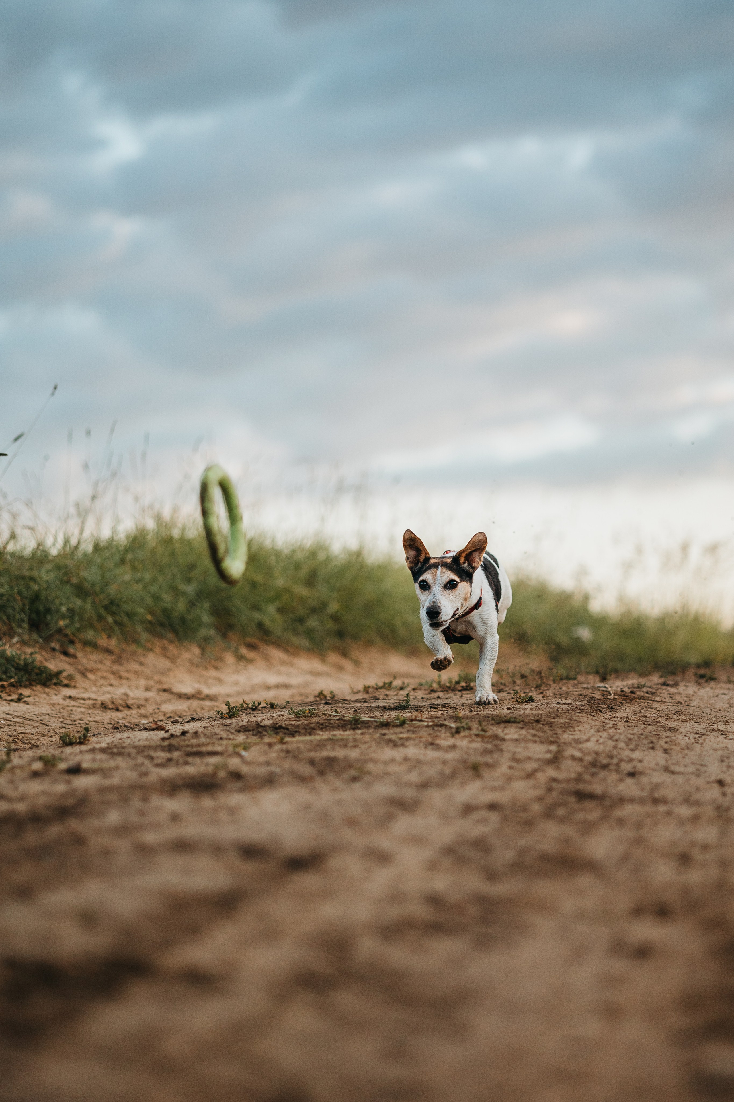 Маша и Персик. Фотограф — Анималист | Санкт-Петербург