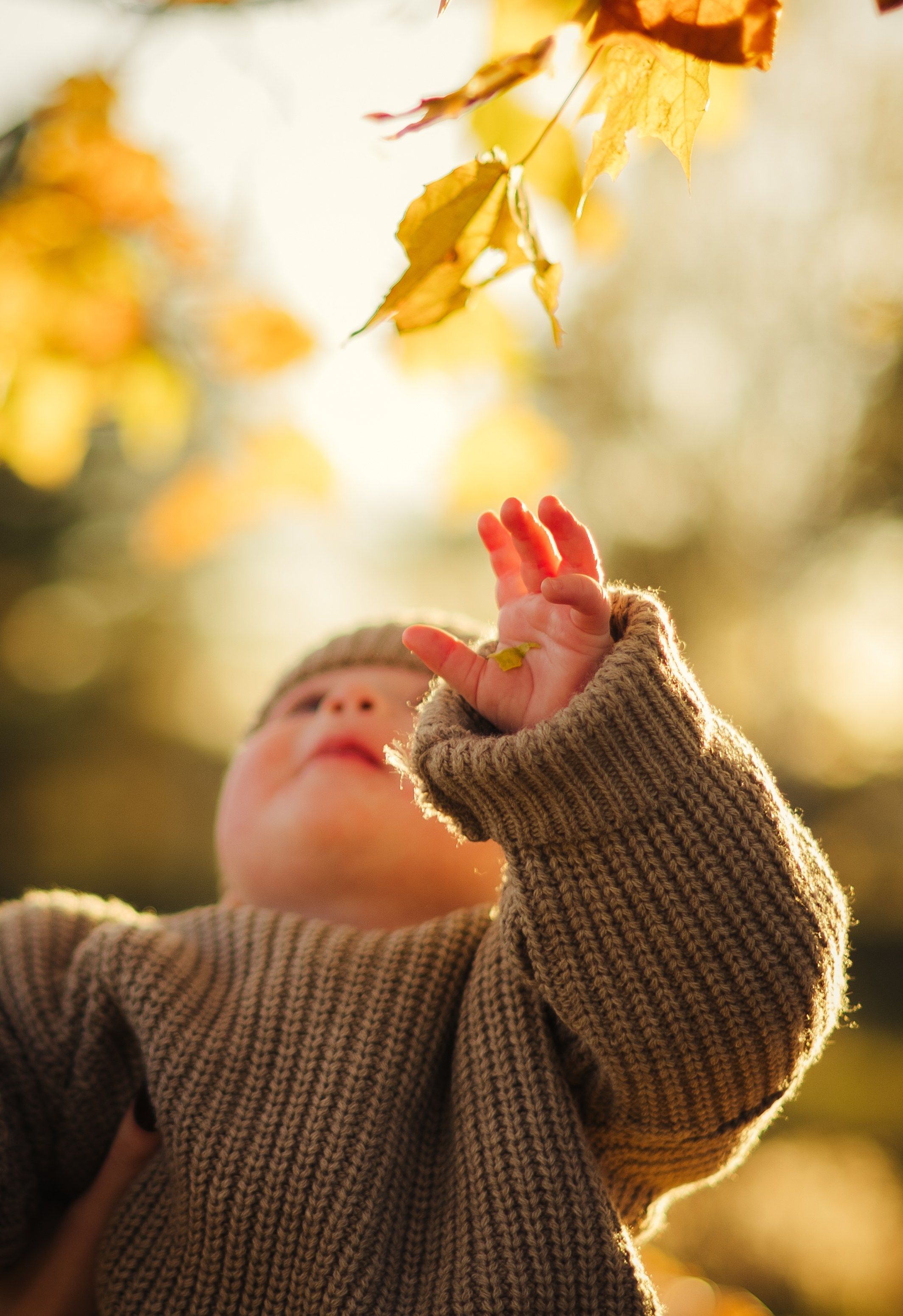 Мамочки осенью. Семейный и детский фотограф в Щелково Алена Дробот