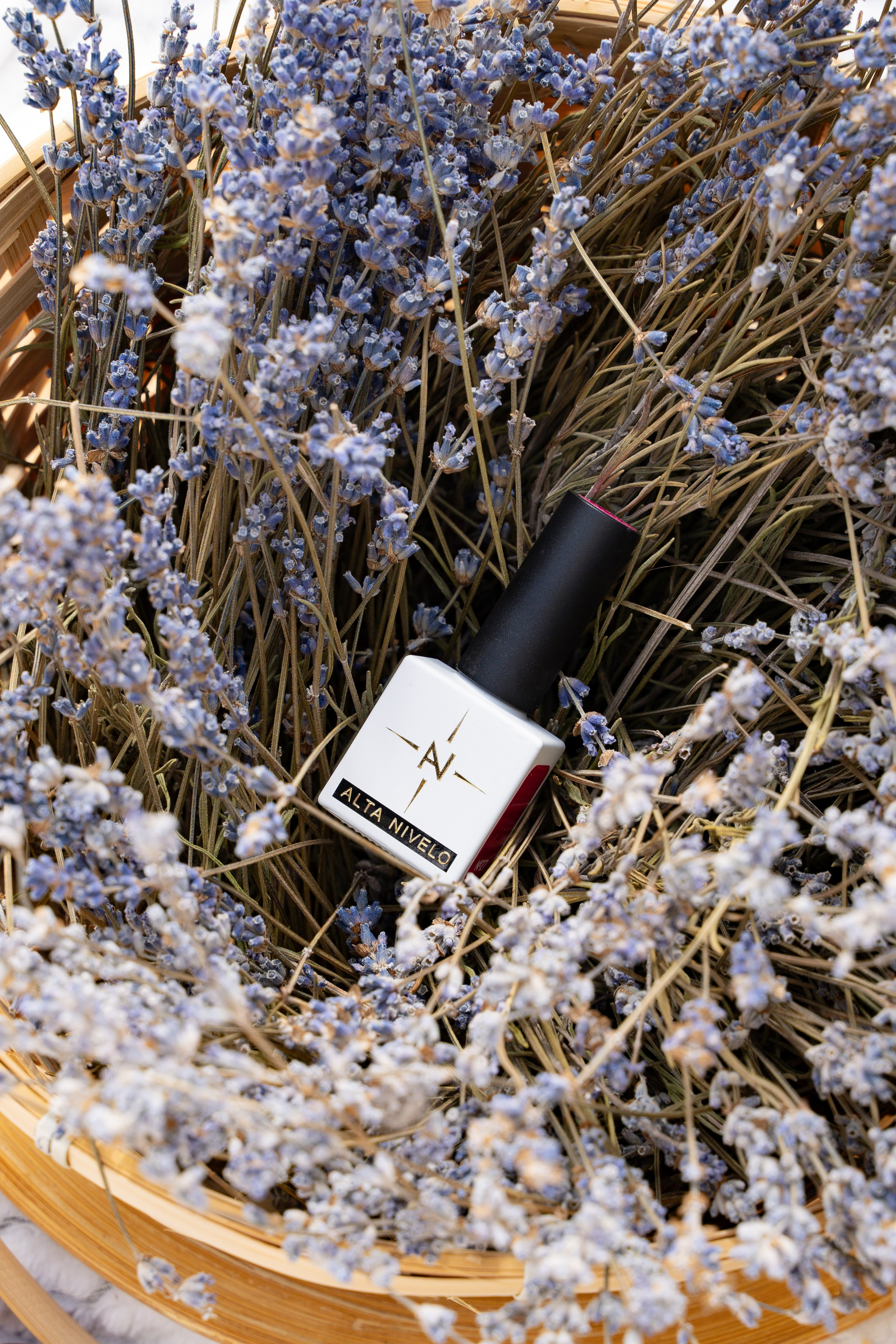 Пикник. Анастасия Дунаева. Фотограф в Севастополе