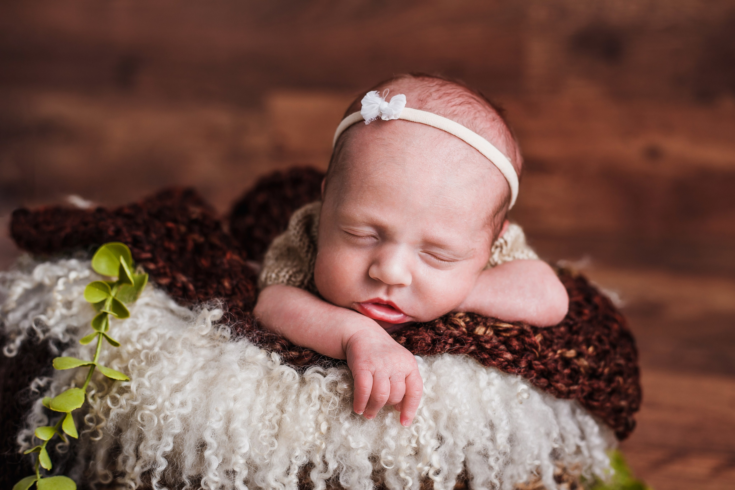 Таисия и Есения, пакет «Стандарт», 21 день. Фотограф новорождённых Екатерина Боброва. Ульяновск