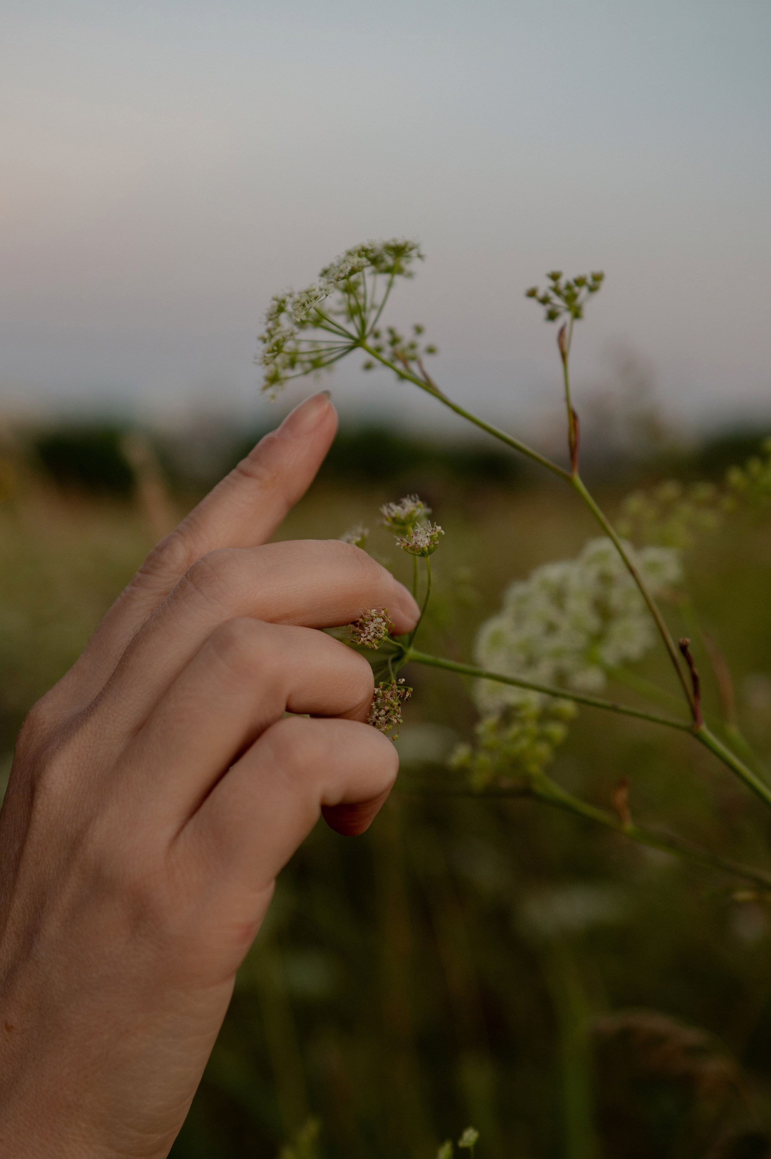 USTINA. Свадебный и портретный фотограф в Казани