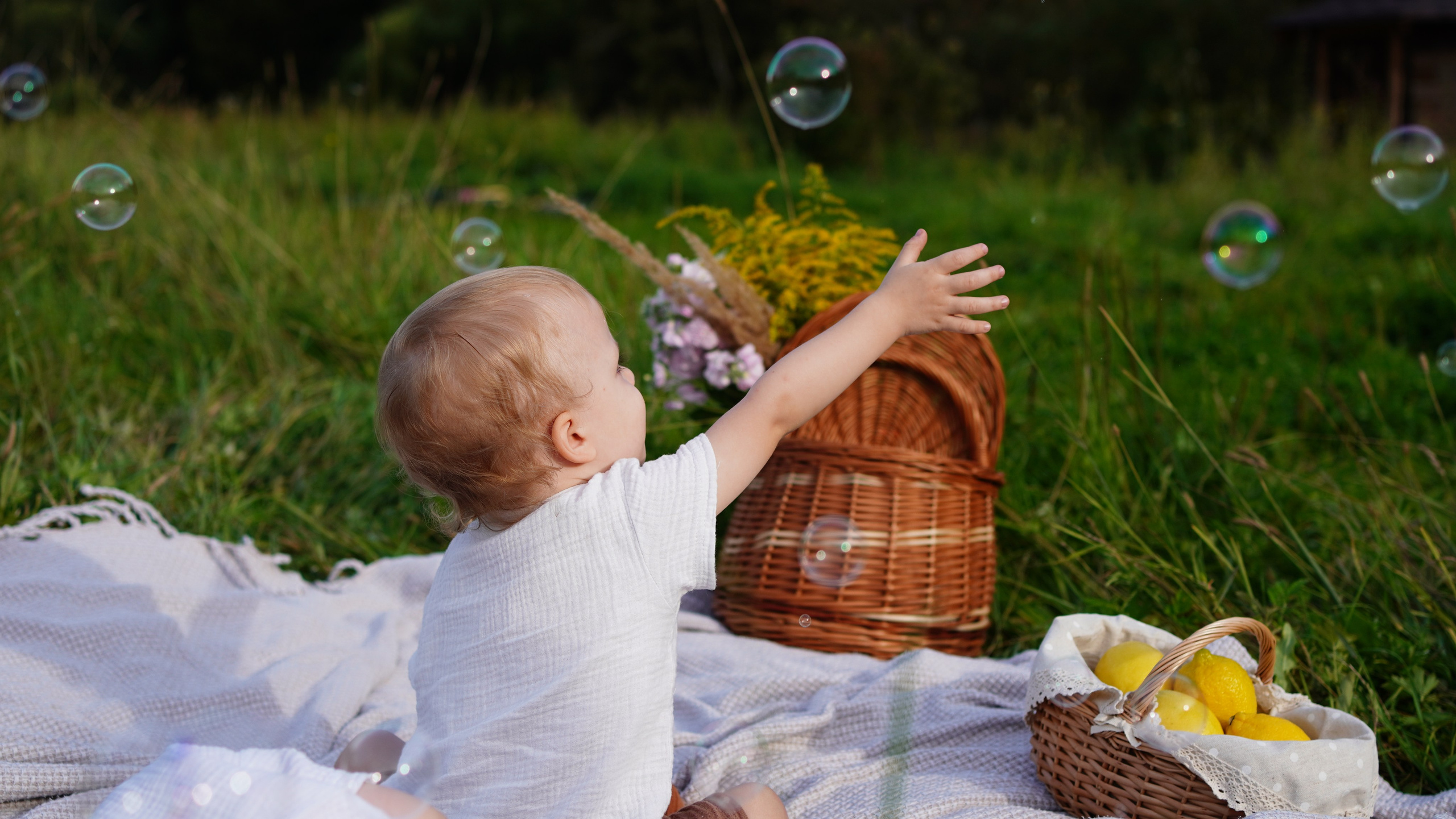 Прогулка в августе. Семейный и детский фотограф в Зеленограде Коваленко Дарья. Съемка праздников и выпускных, дней рождений