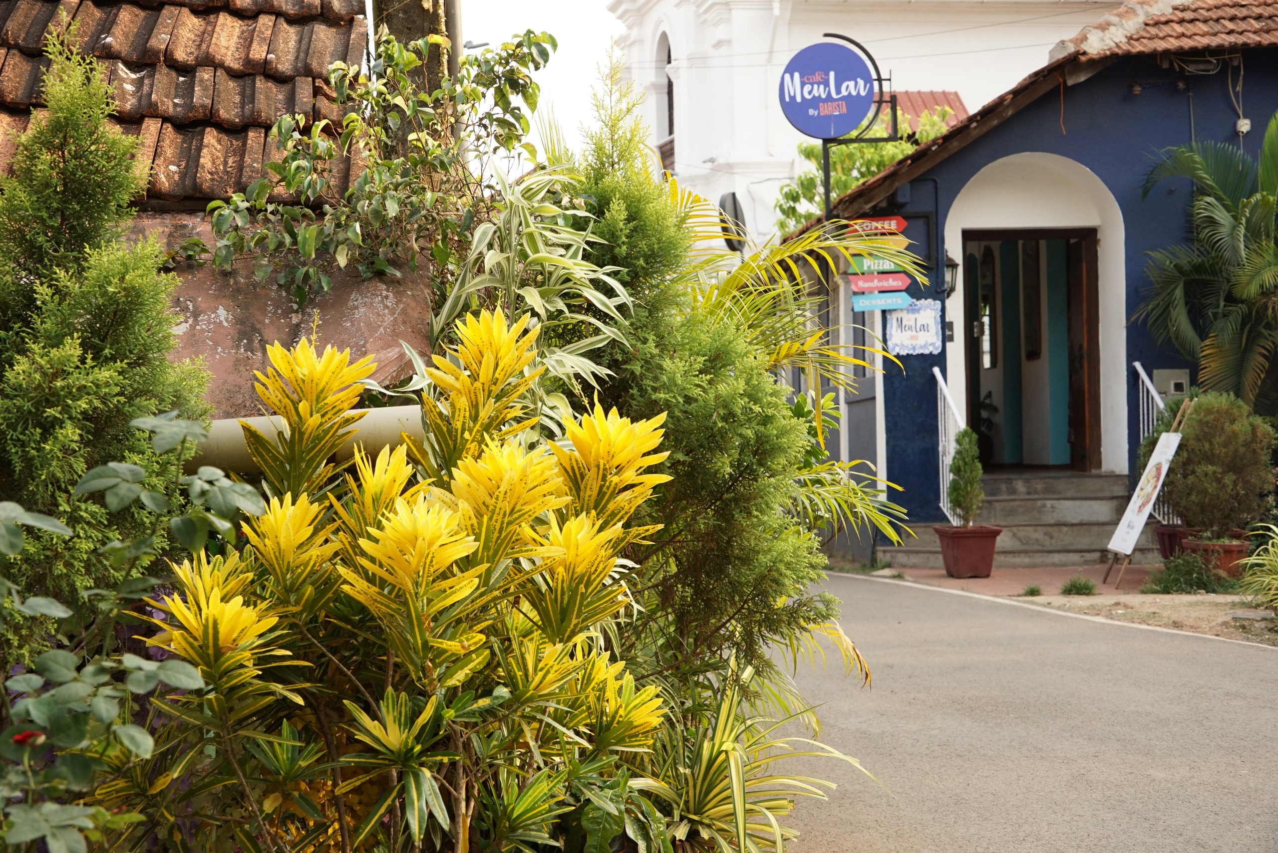 Индия. Живые снимки! Фотограф Даша Бендер