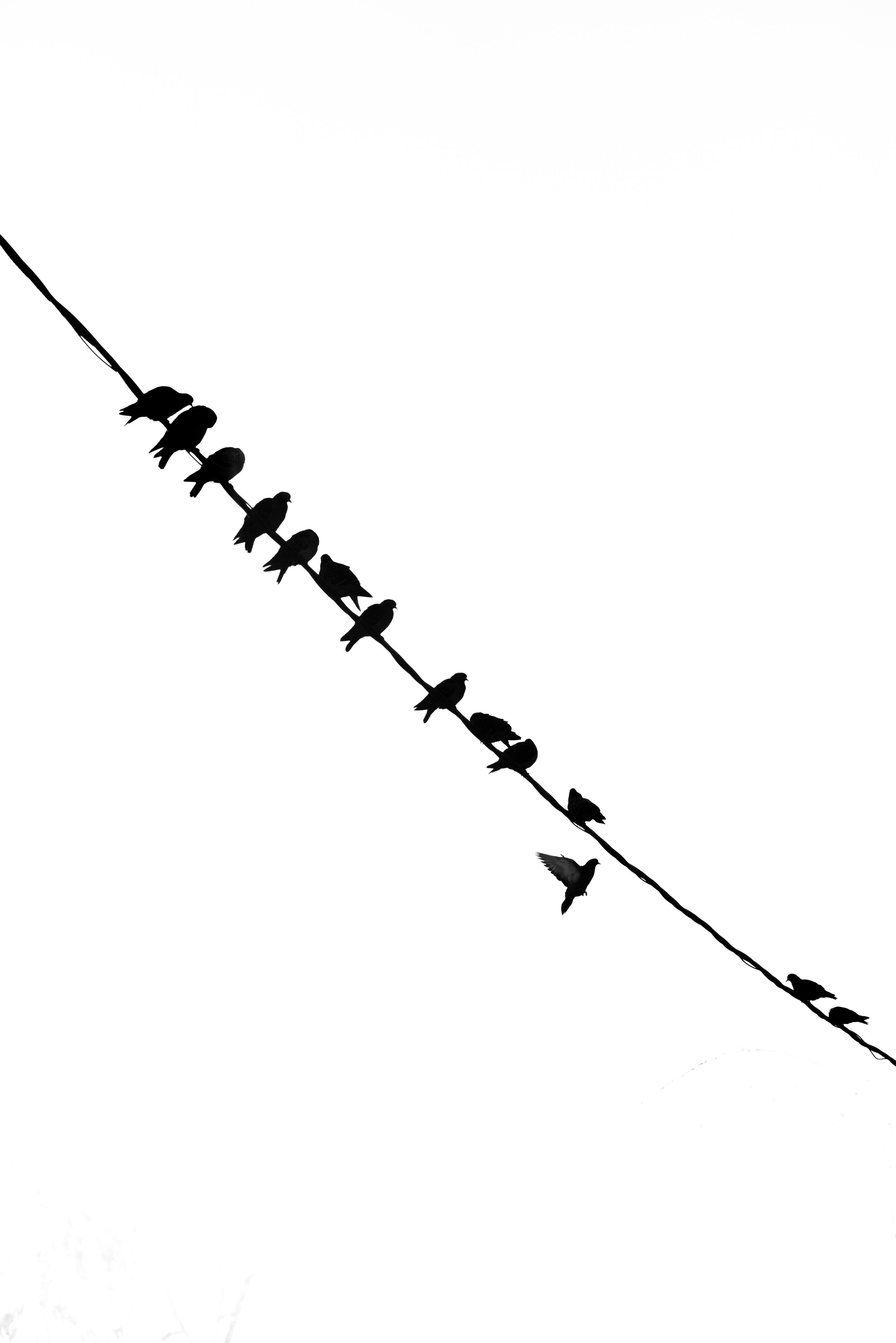 Стрит фото. Беличкин Михаил. Портретный и предметный фотограф в городе Тольятти