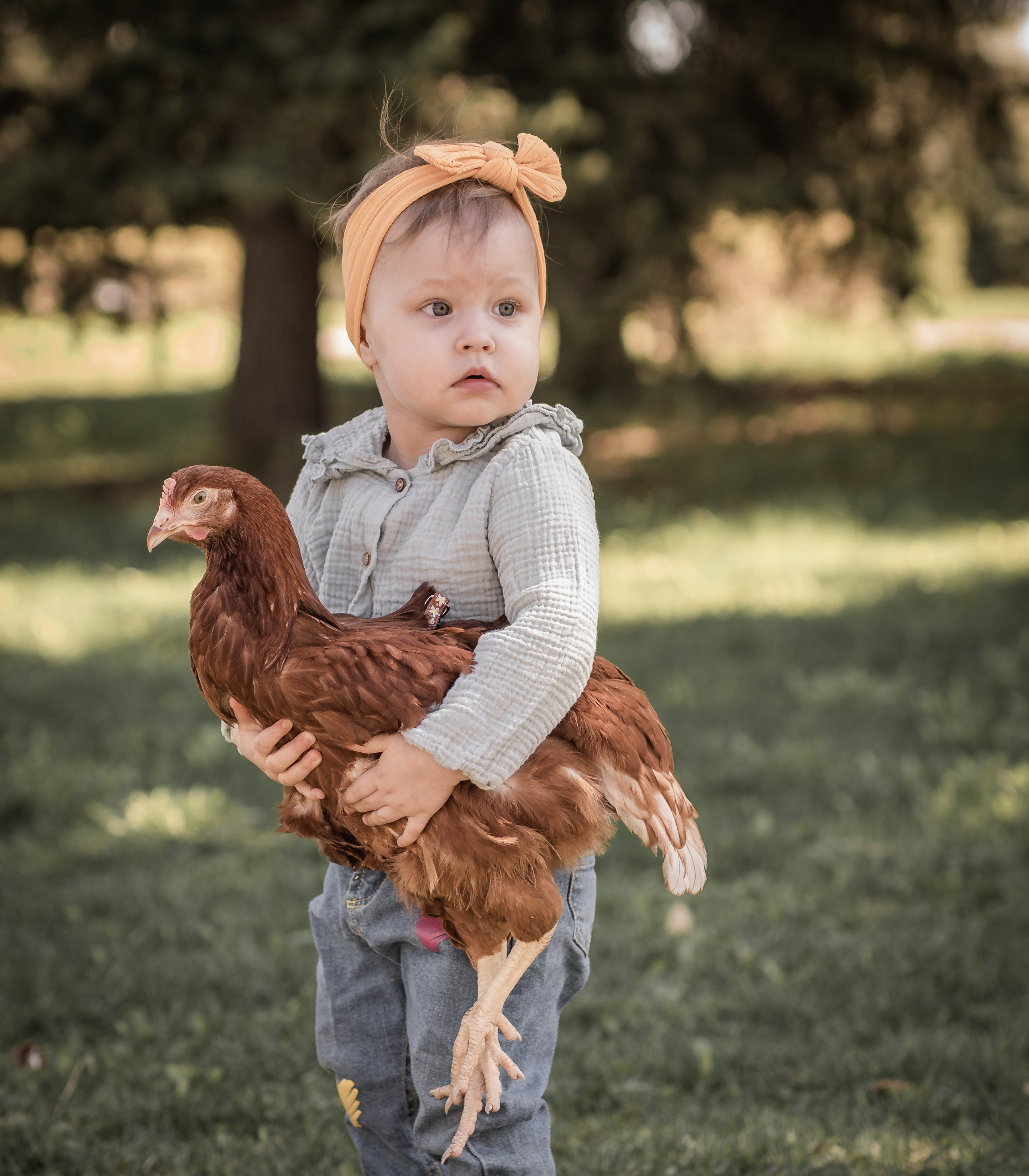 Куриные истории. Семейный фотограф Ефремова Виктория