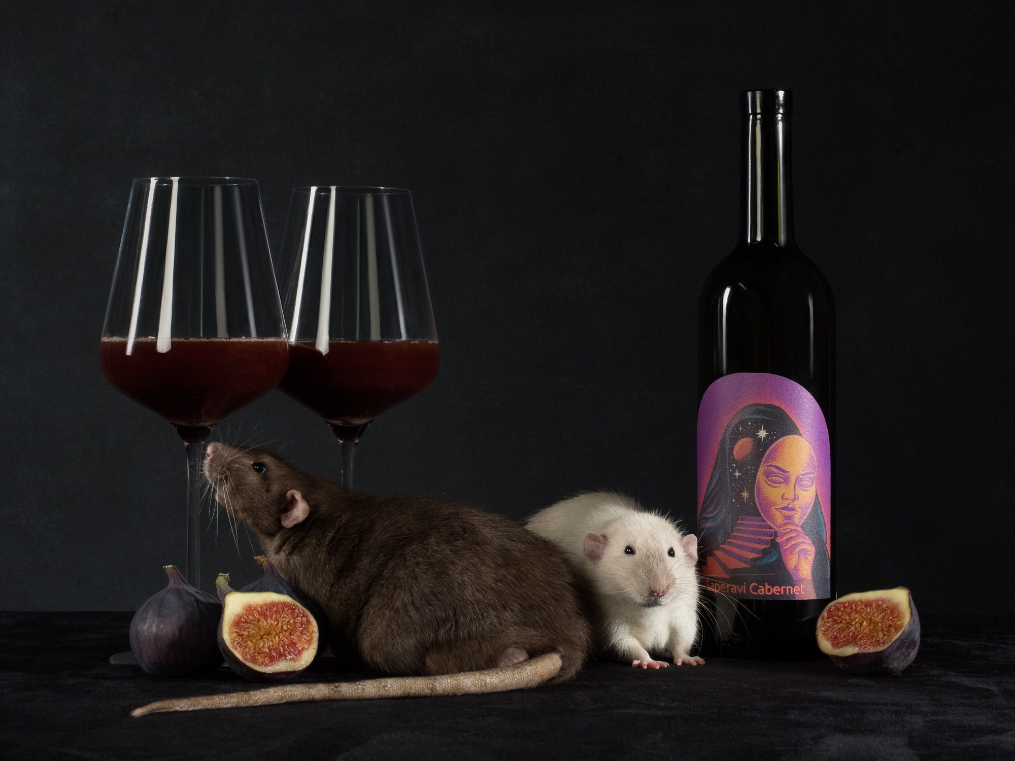 Студийная съёмка. Фотограф животных и людей в Санкт-Петербурге Дарья Быстрицкая