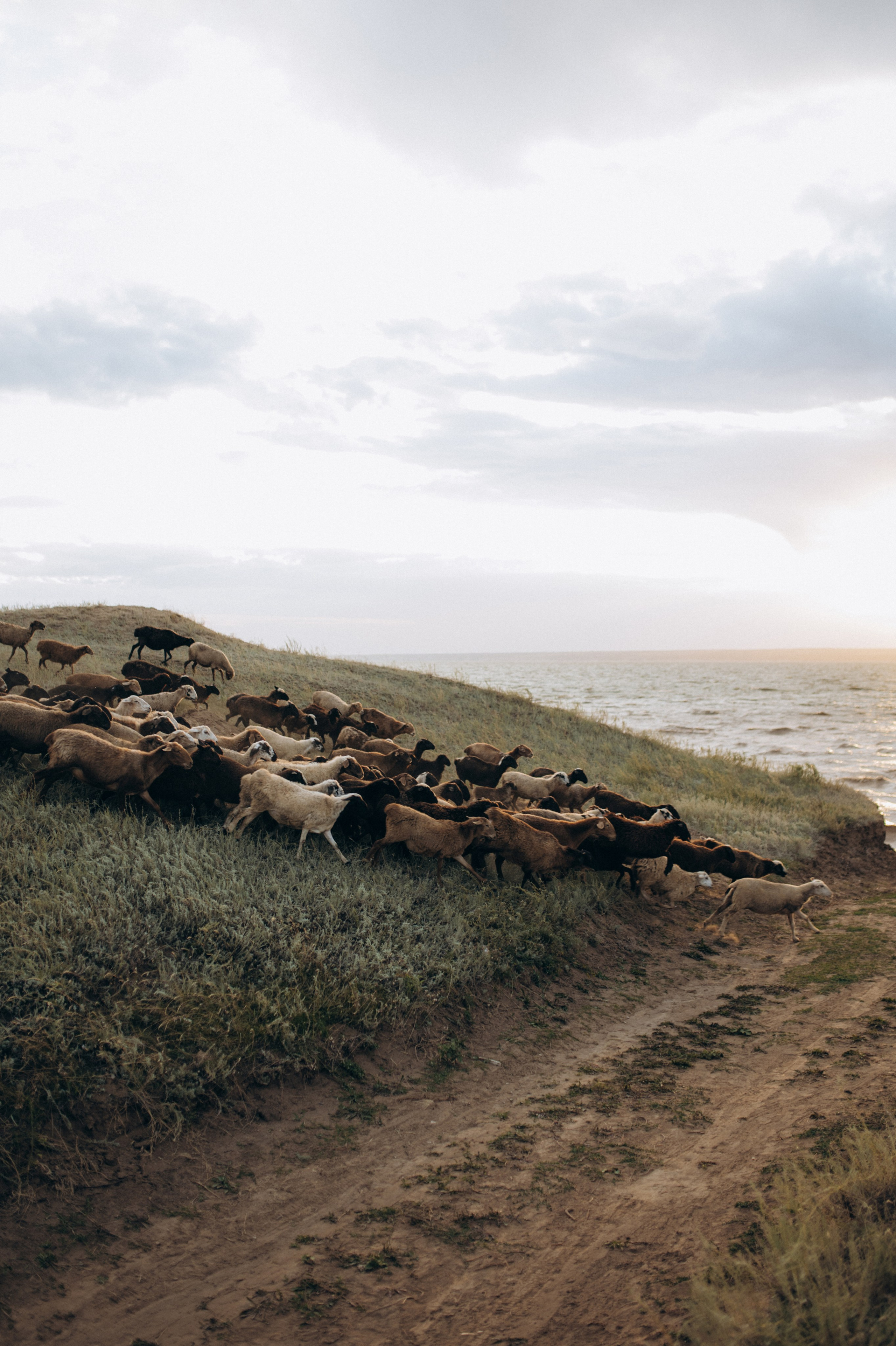 Наташа, Степа, Василиса, Лера. Www.ostermiller.ru