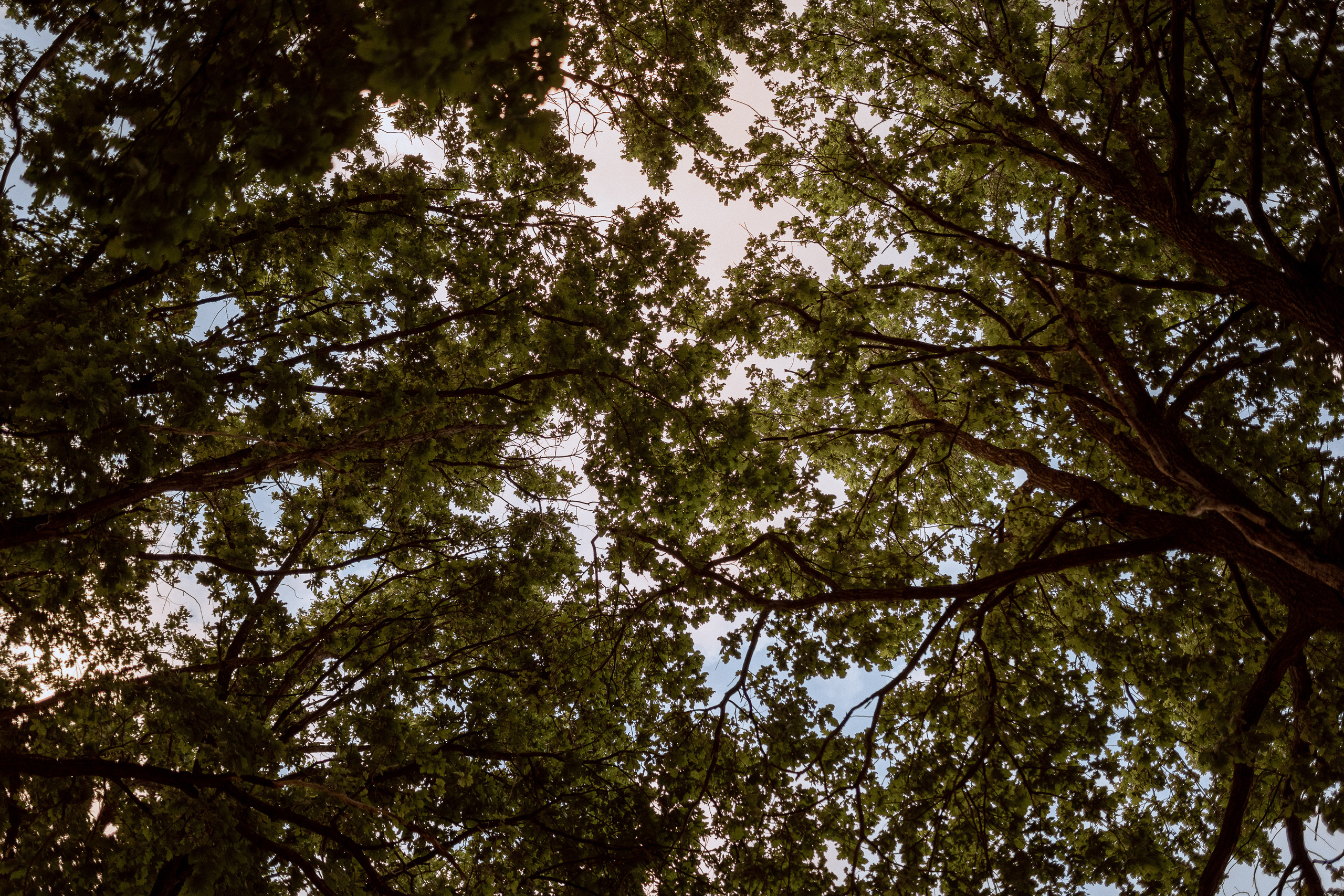 Константин и Анна. Фотограф в Самаре Иван Сеножатский