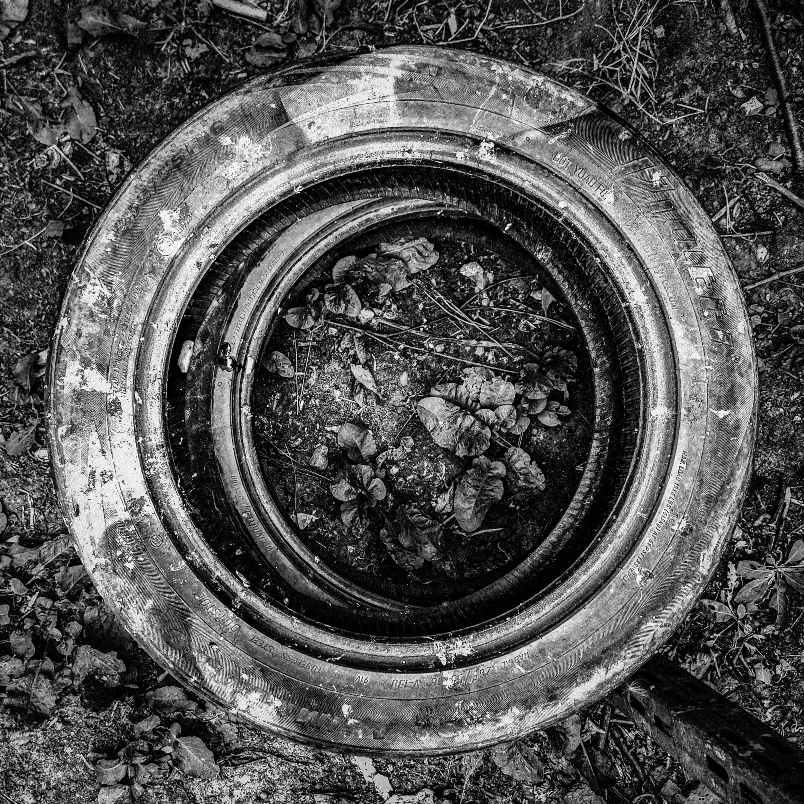 Пейзажи и уличная съёмка