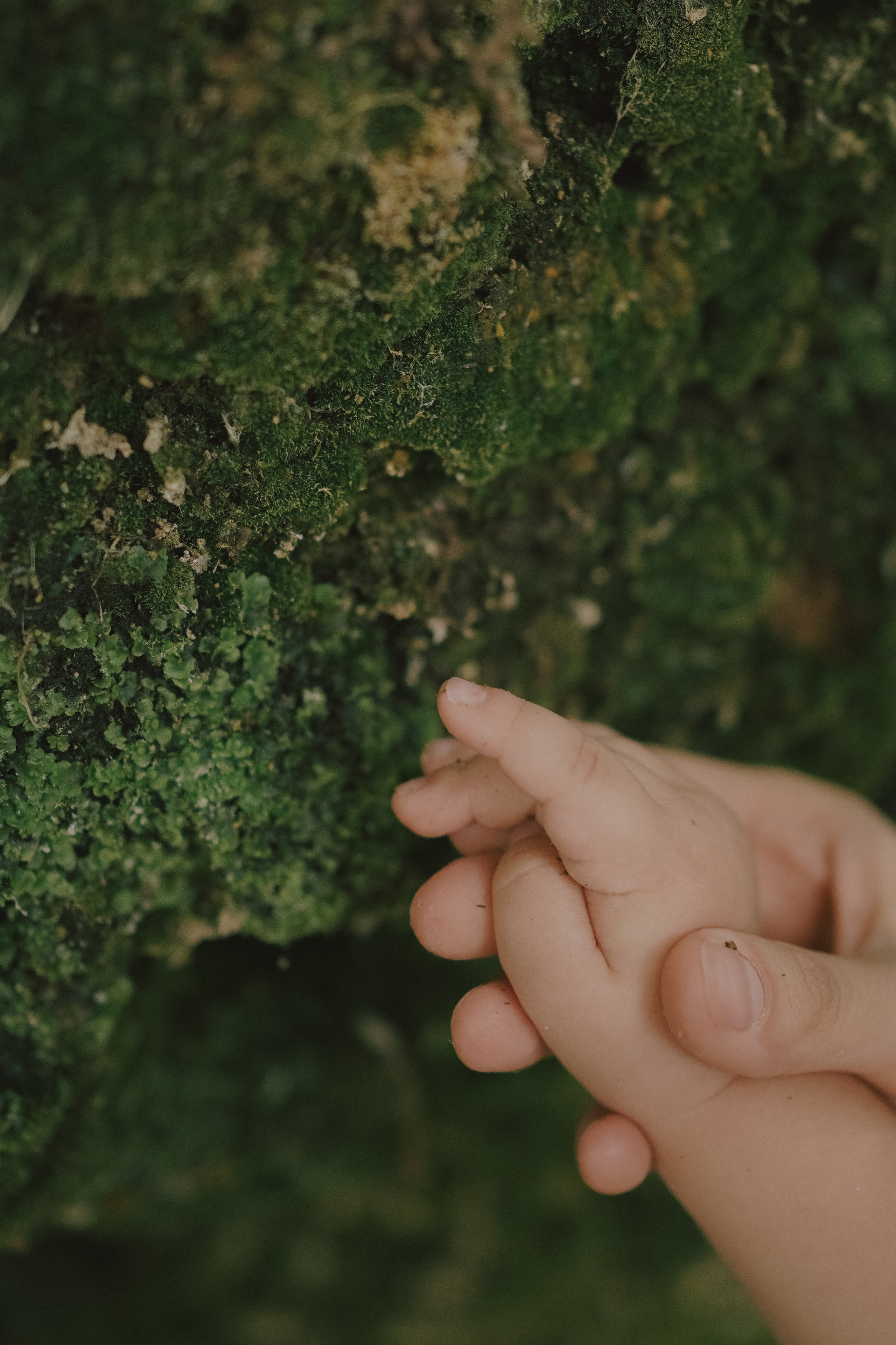 То, что я вижу. Свадебный и семейный фотограф Афанасьева Анна в Кисловодске