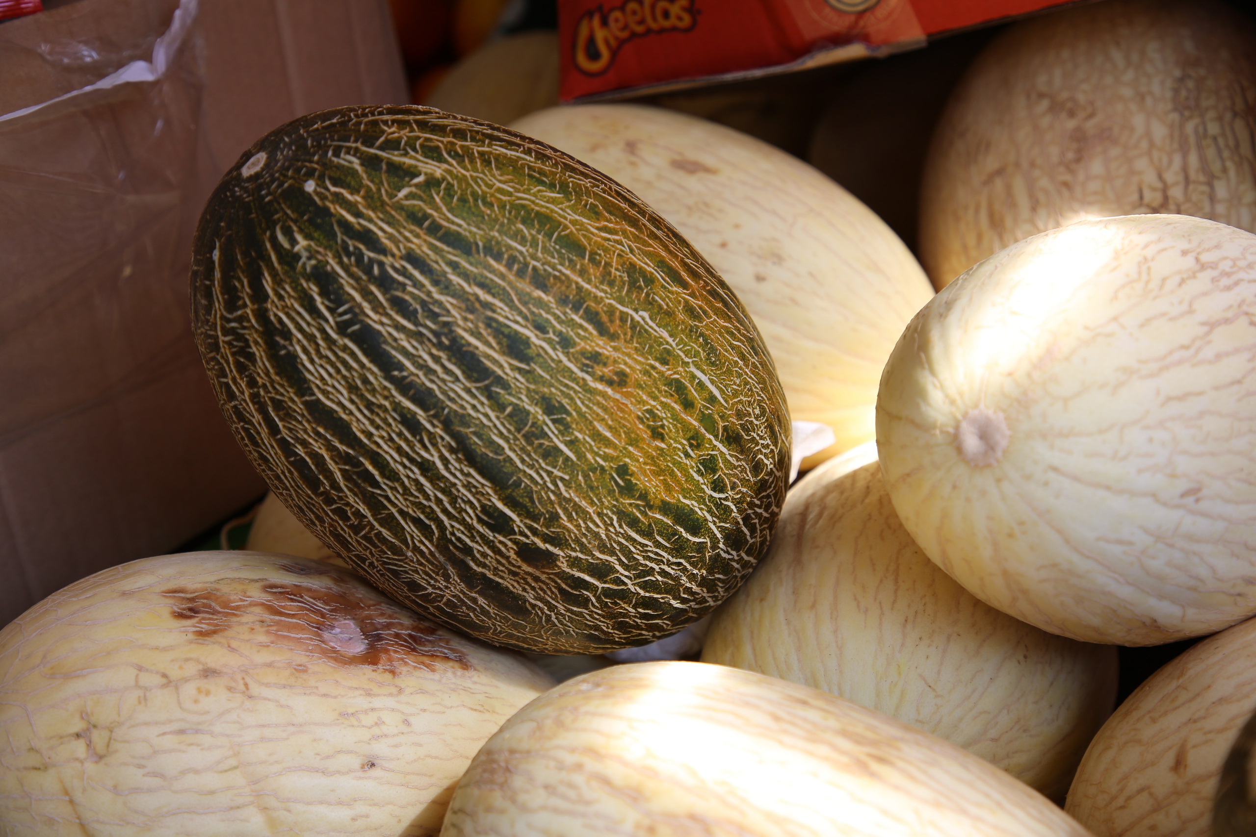 Lisbon, Portugal. Andrey Filippov Photographer