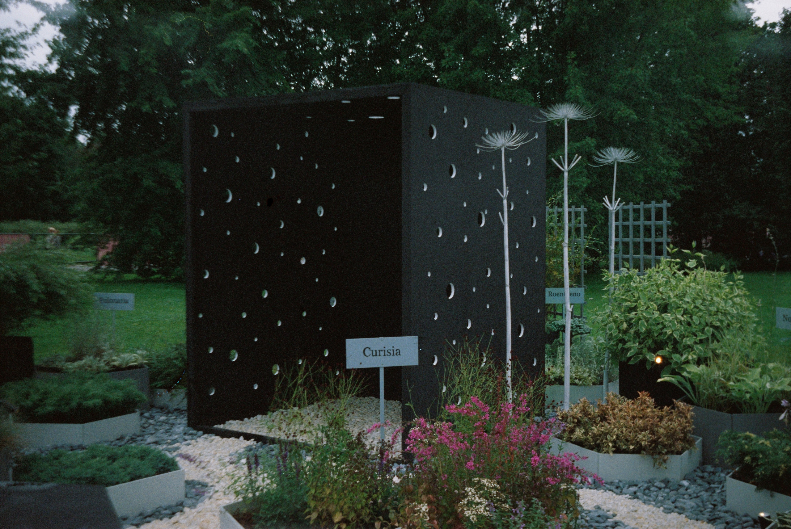 Вело лето 2025. Сергей Новиков Фотограф Москва